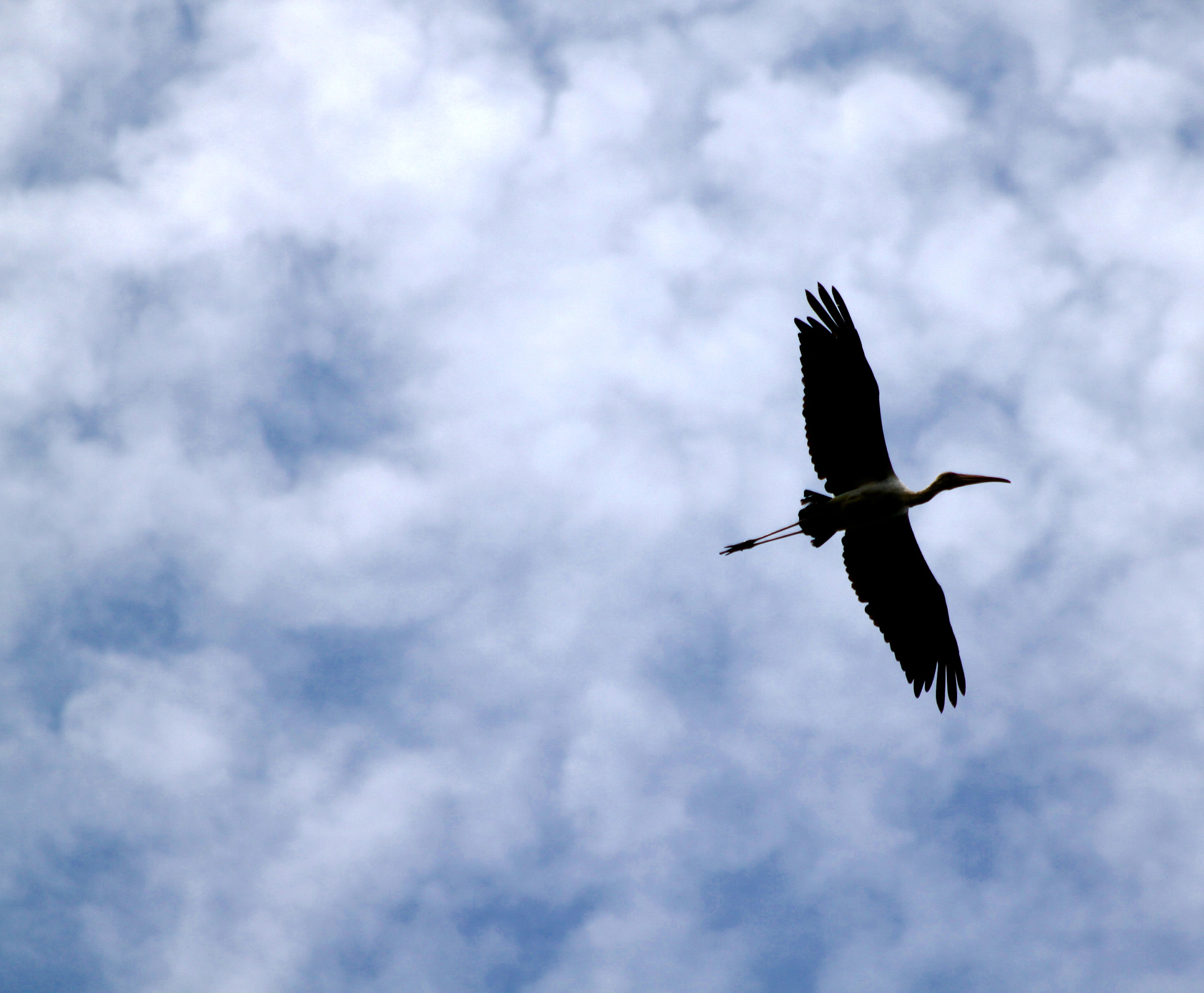 Canon EF 70-300mm F4-5.6 IS USM sample photo. Only me photography
