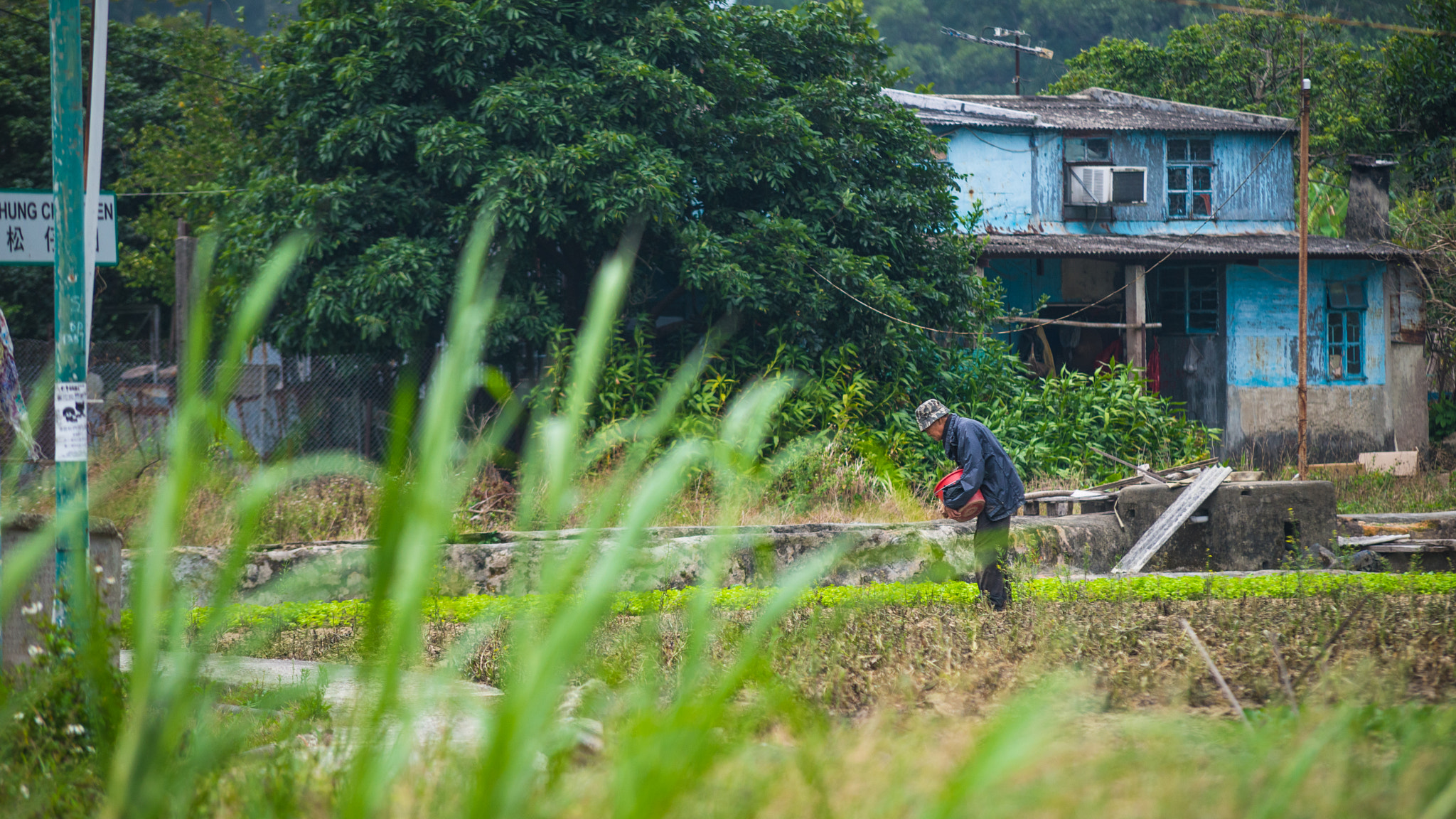 Nikon D610 sample photo. Modern farmer in hk photography