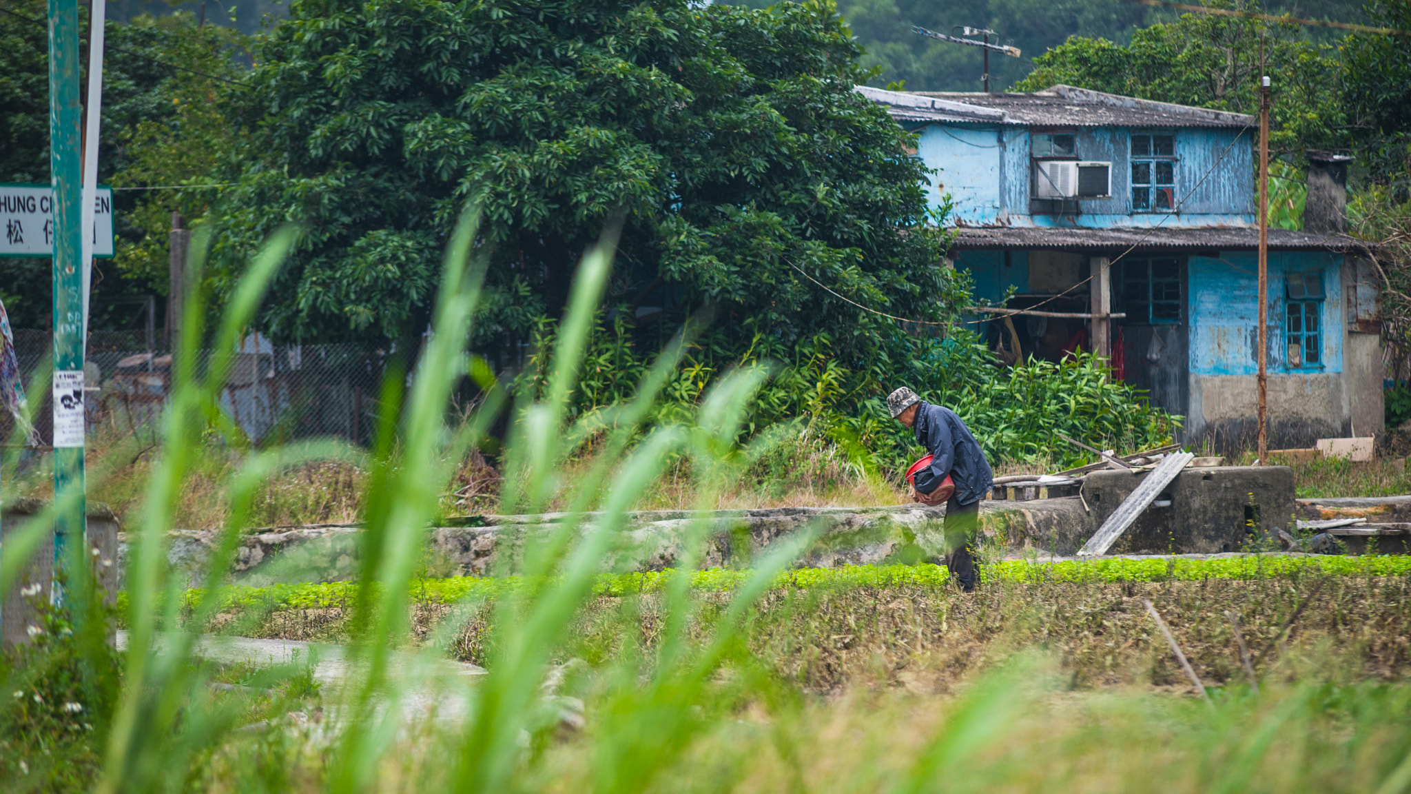 Sigma 70-200mm F2.8 EX DG Macro HSM II sample photo. Modern farmer in hk photography