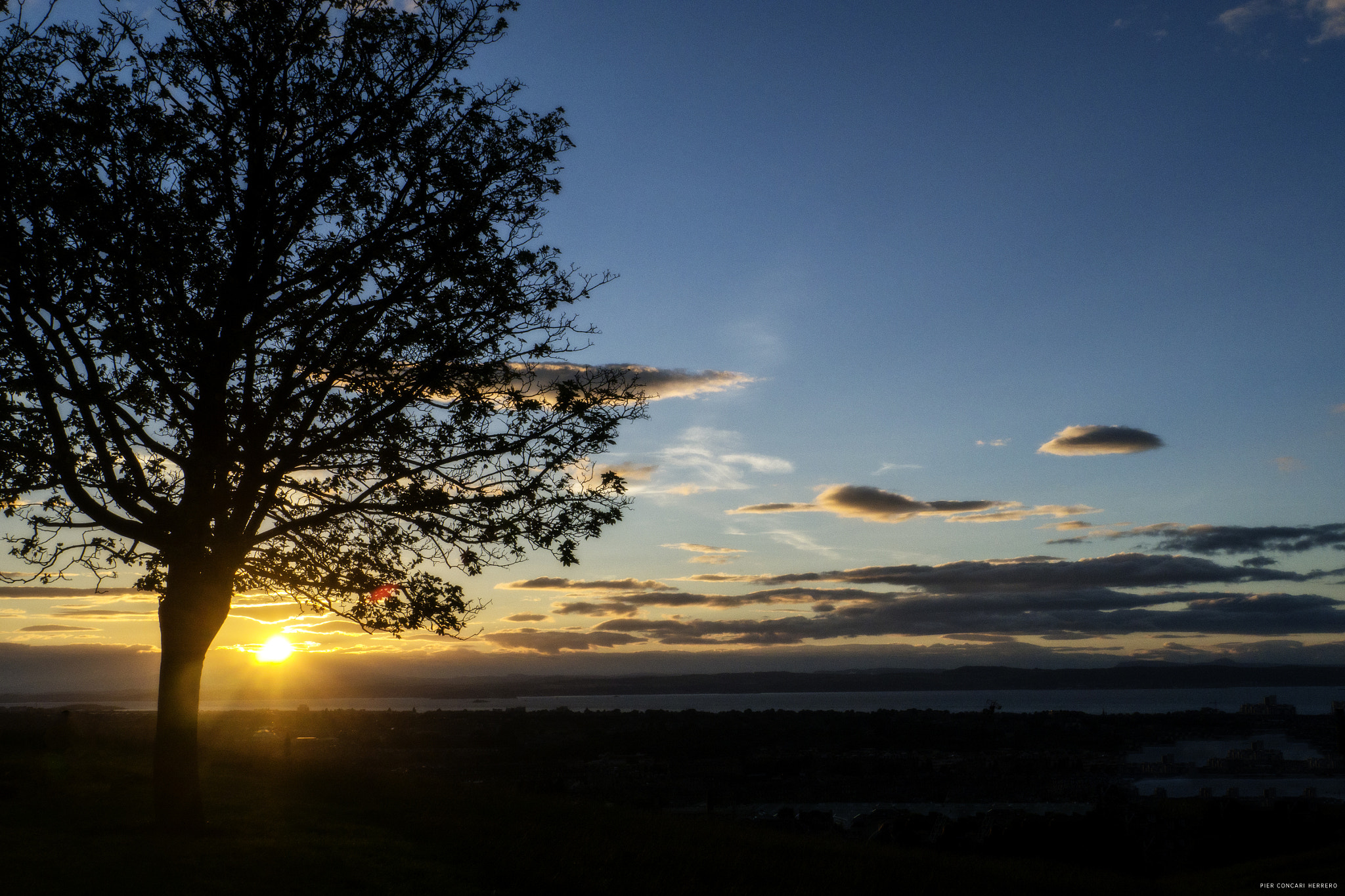 Panasonic Lumix DMC-GH2 sample photo. Tree of light photography