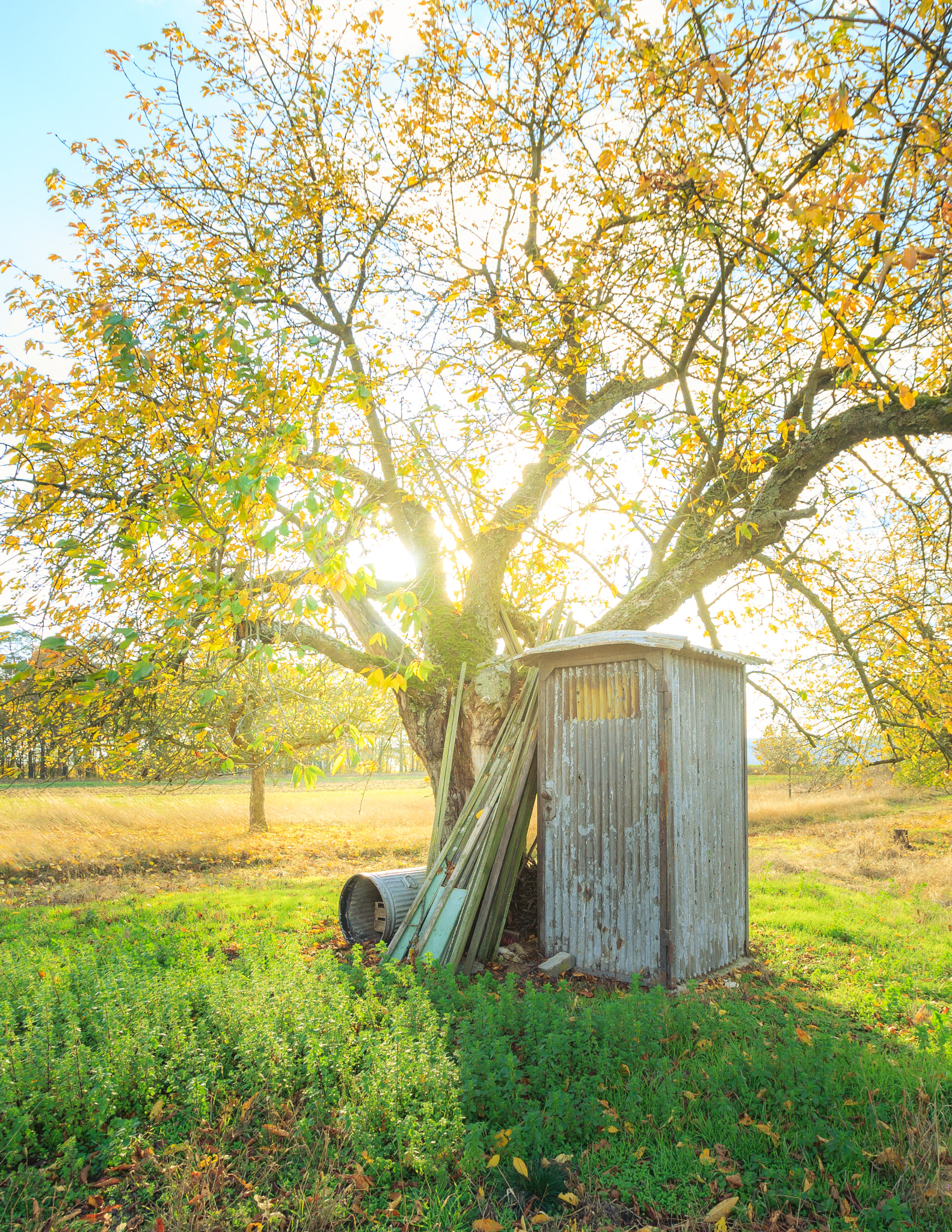Canon EOS 5D + Canon EF 16-35mm F2.8L USM sample photo. The last sunlight of the fall season  photography