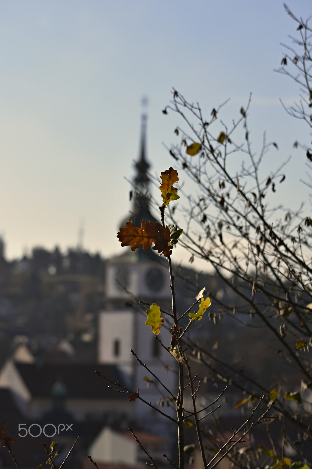 Nikon D7200 + Sigma 70-200mm F2.8 EX DG OS HSM sample photo. Autumn ii photography