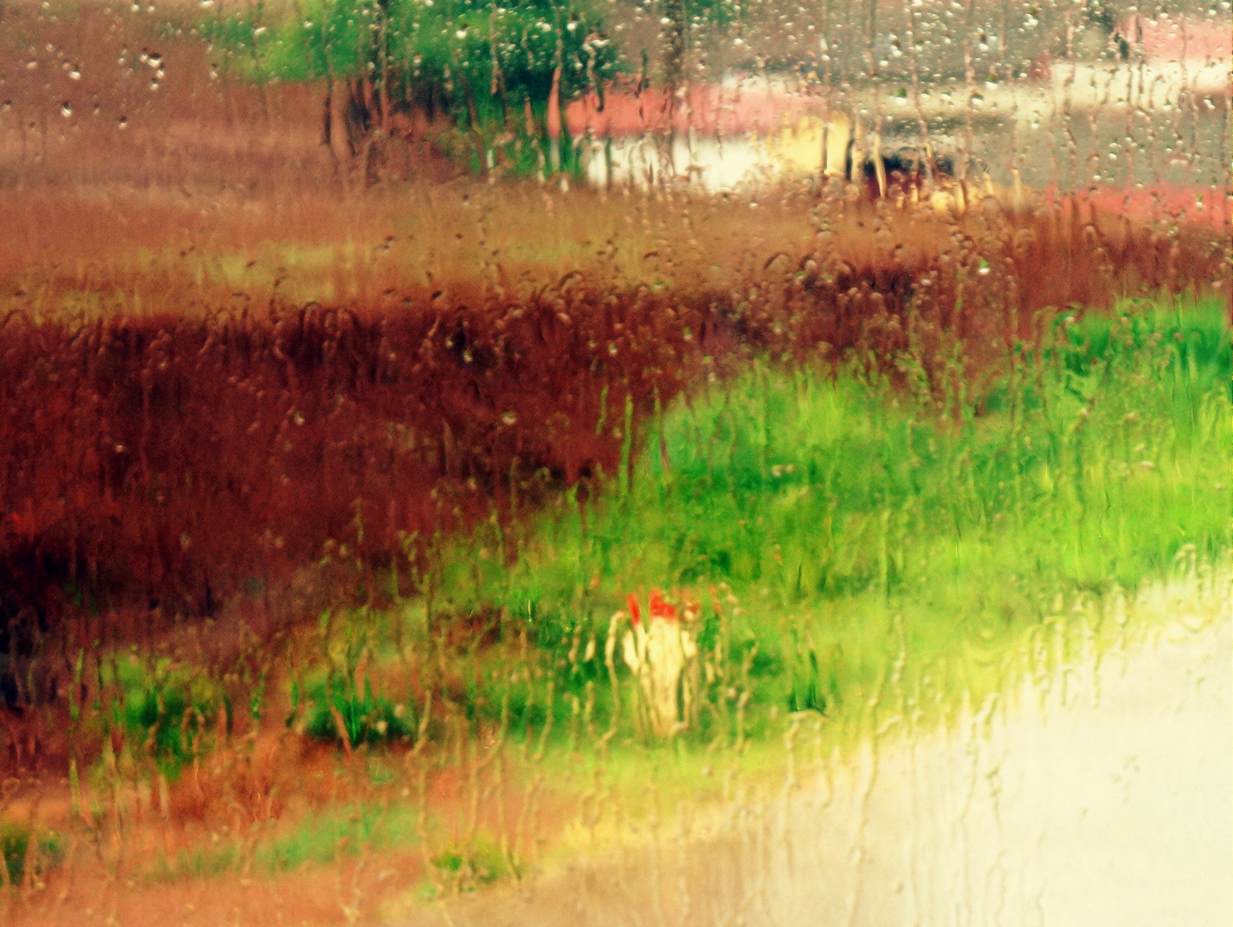 Sony E 18-55mm F3.5-5.6 OSS sample photo. The little house under the rain photography