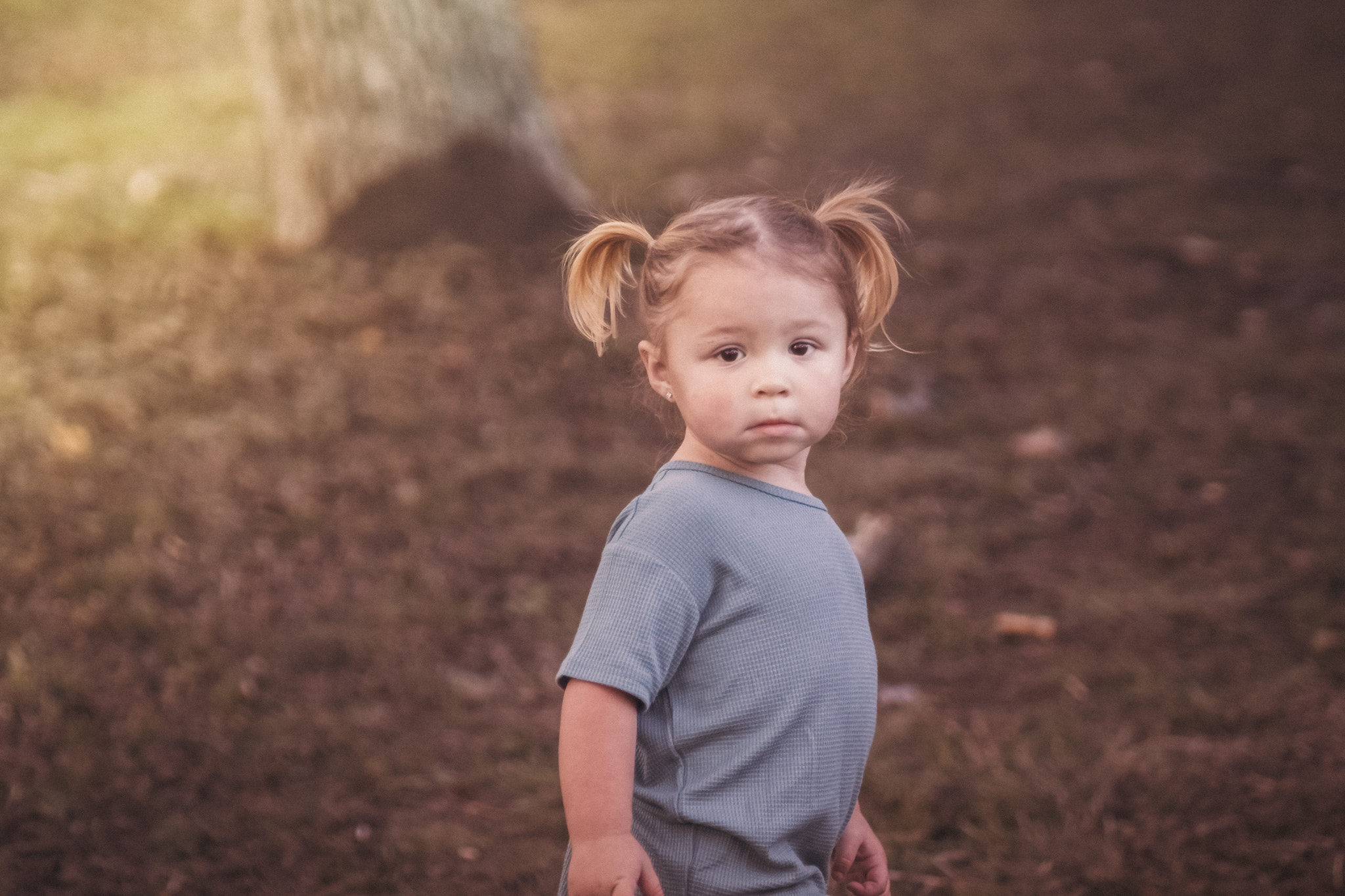 Canon EF 85mm F1.8 USM sample photo. Img photography