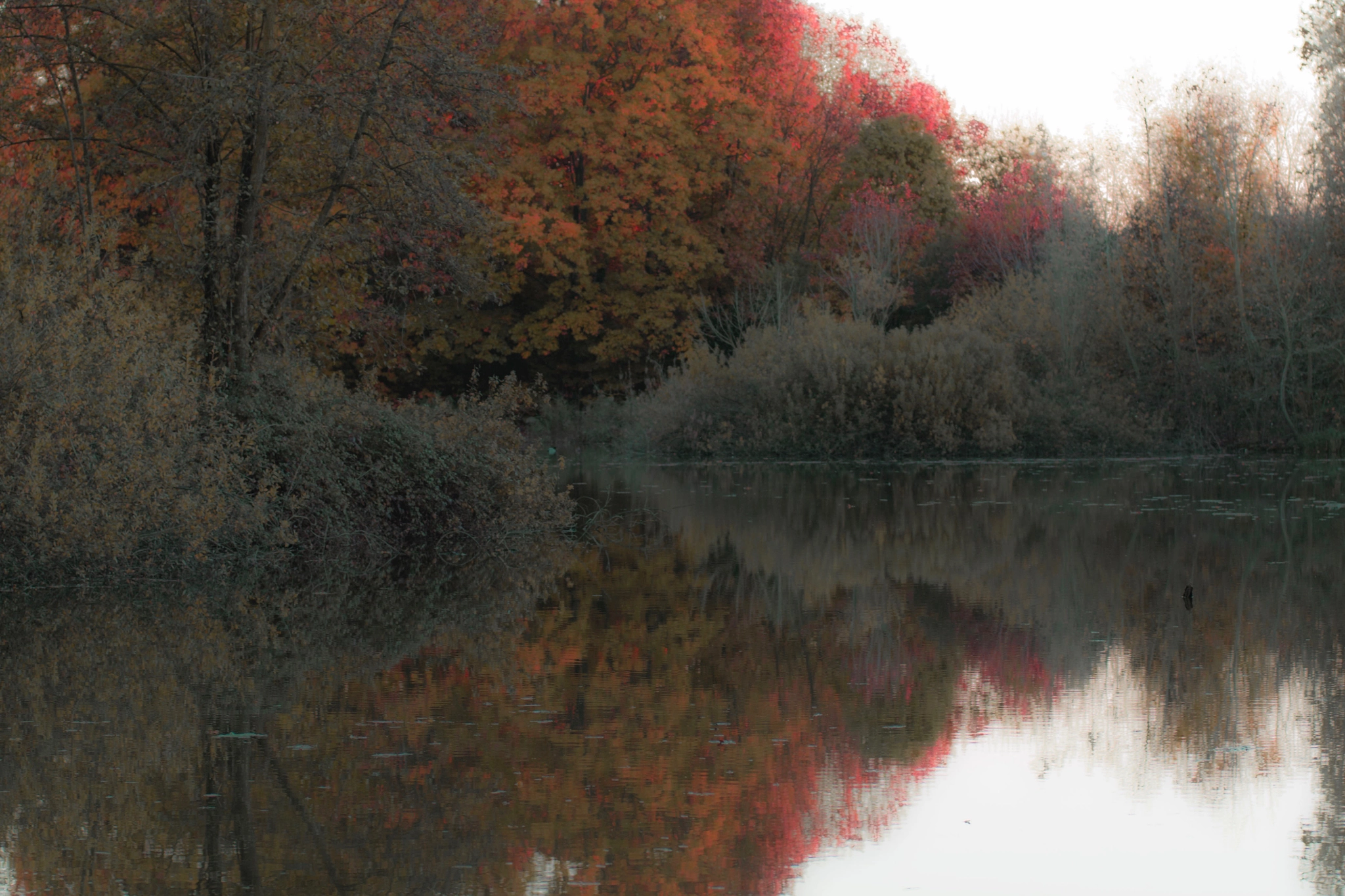 Canon EOS 450D (EOS Rebel XSi / EOS Kiss X2) sample photo. Autumn photography
