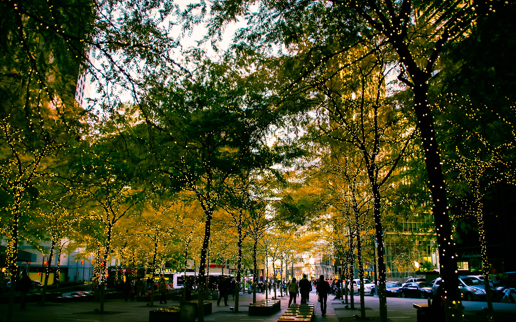 Tamron AF 18-200mm F3.5-6.3 XR Di II LD Aspherical (IF) Macro sample photo. Trees wrapped in lights photography