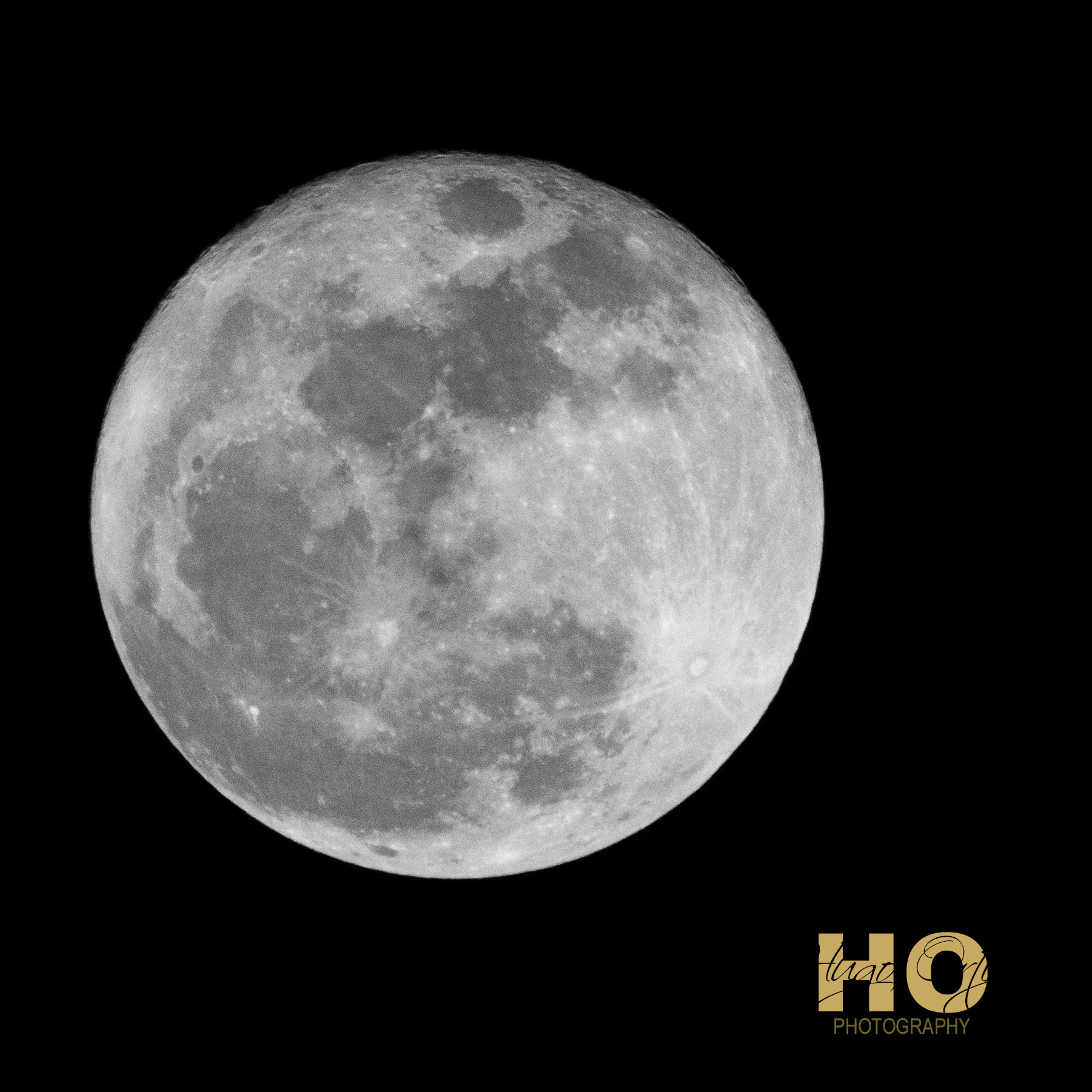 Sigma 50-500mm F4-6.3 EX APO RF HSM sample photo. Luna photography