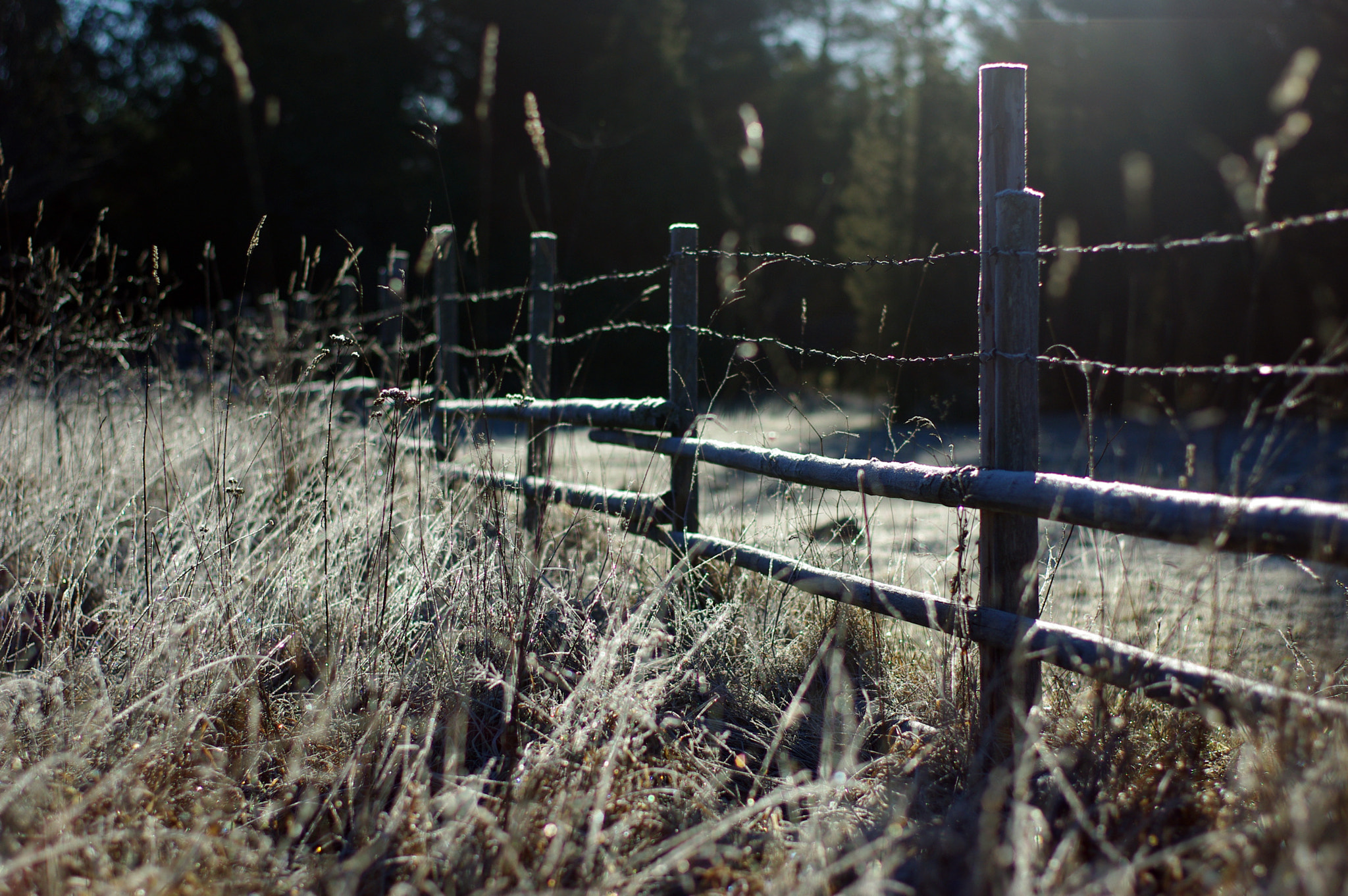 Pentax K200D + Pentax smc FA 50mm F1.4 sample photo. Coutryside photography