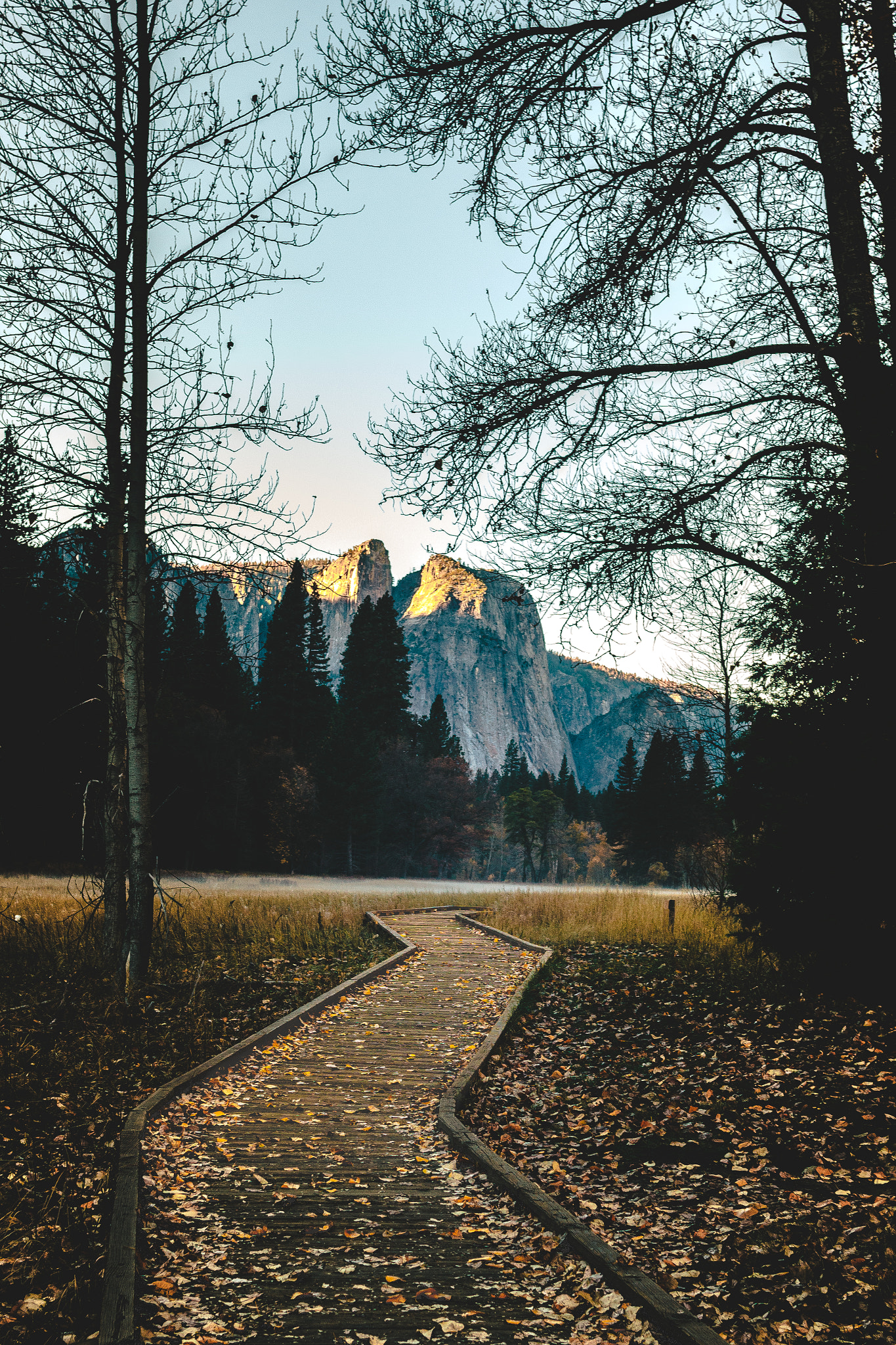 Sigma 30mm F1.4 EX DC HSM sample photo. Yosemite national park boardwalk photography