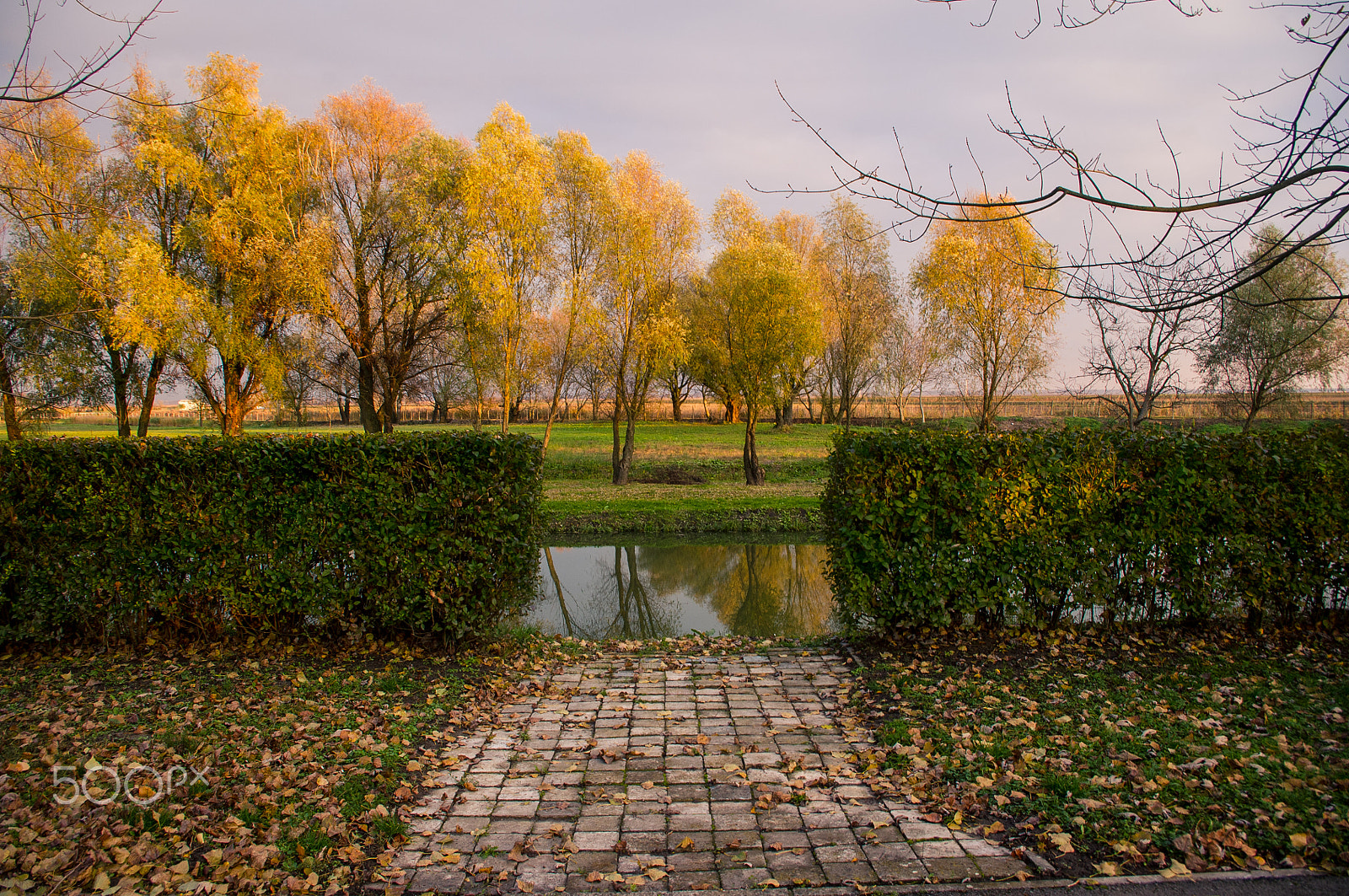 Pentax K-x sample photo. Autumn in baranja, croatia photography