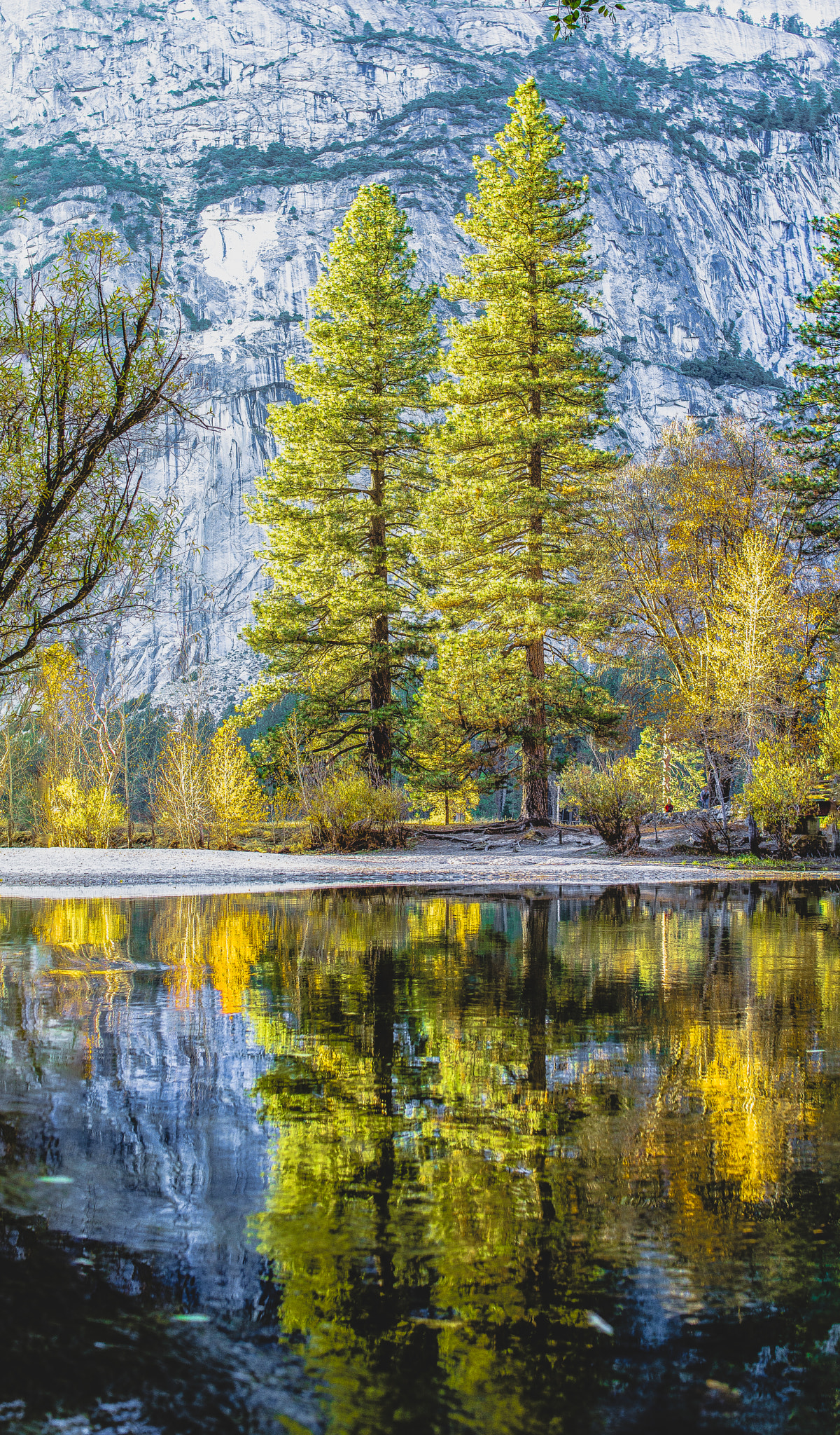 Canon EOS 1200D (EOS Rebel T5 / EOS Kiss X70 / EOS Hi) sample photo. Yosemite national park reflection photography