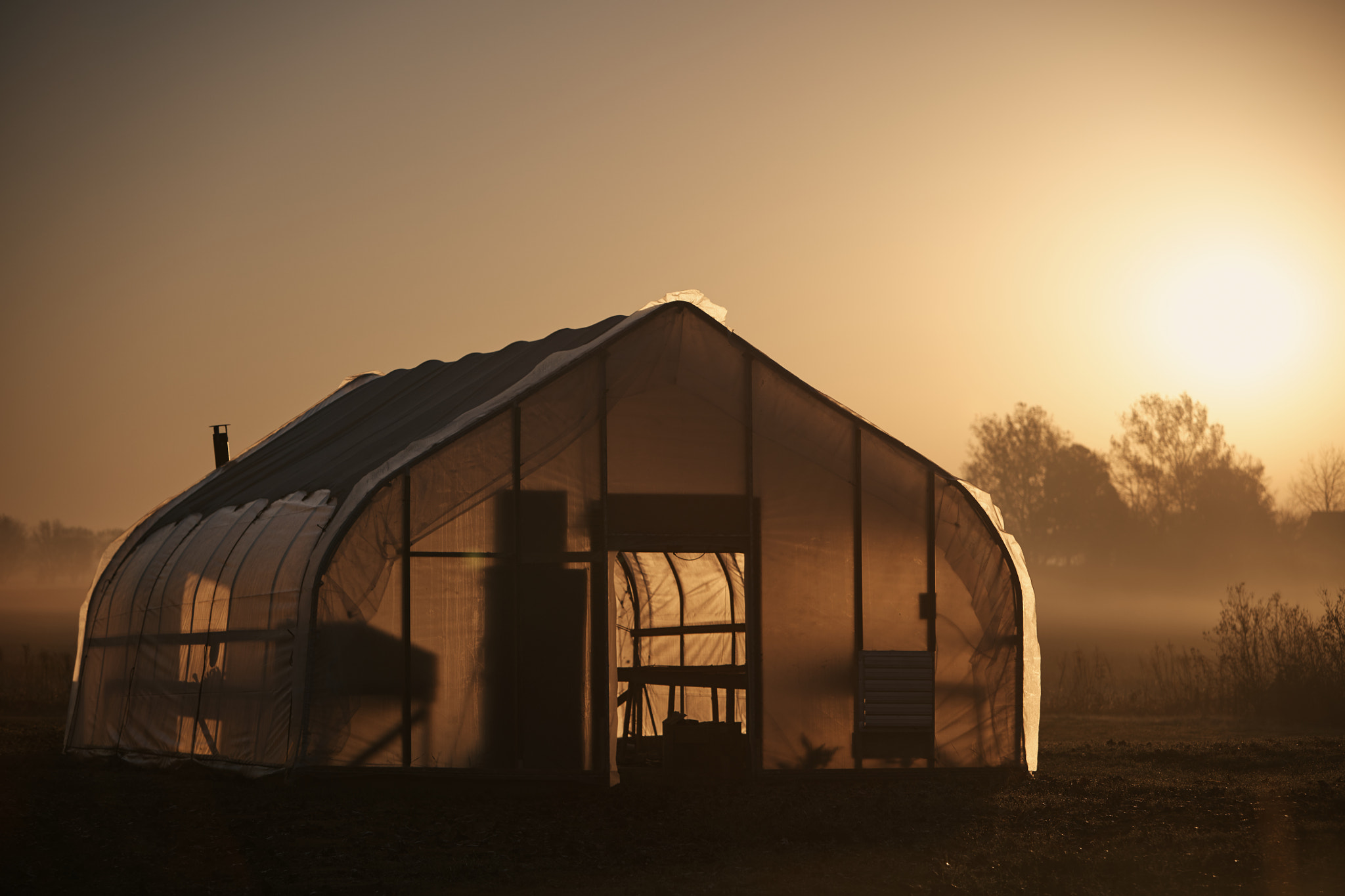 Canon EF 70-200mm F2.8L IS USM sample photo. Greenhouse morning photography