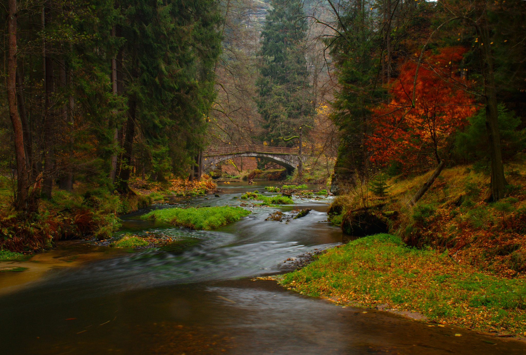 Nikon D5000 sample photo. Autumnal creek kamenice ii. photography
