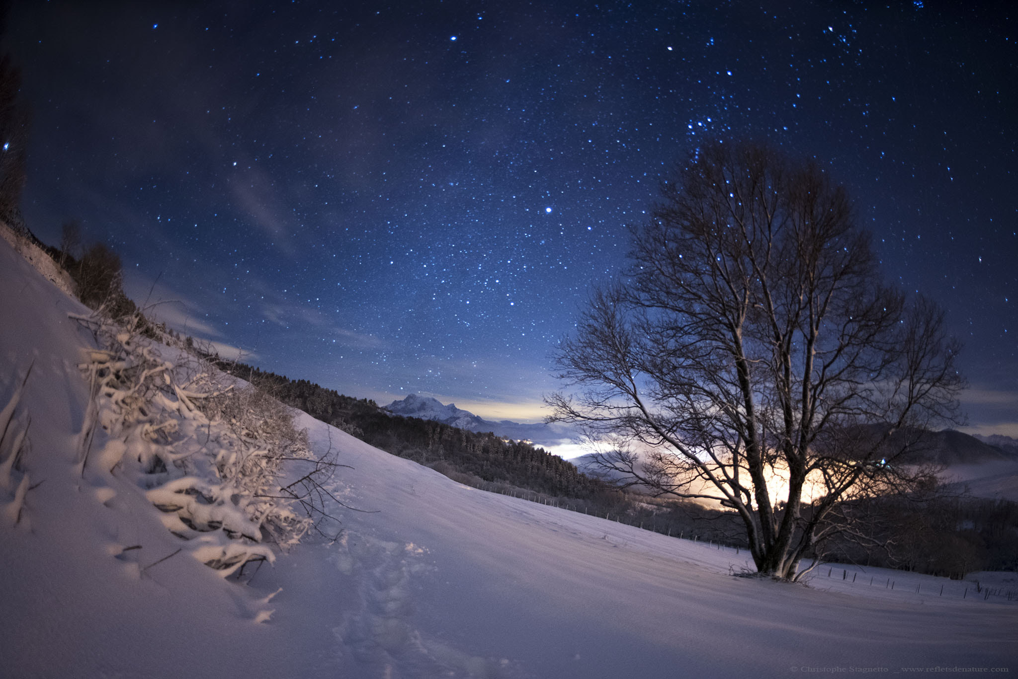 Nikon D750 + Nikon AF Fisheye-Nikkor 16mm F2.8D sample photo. Snow stars photography
