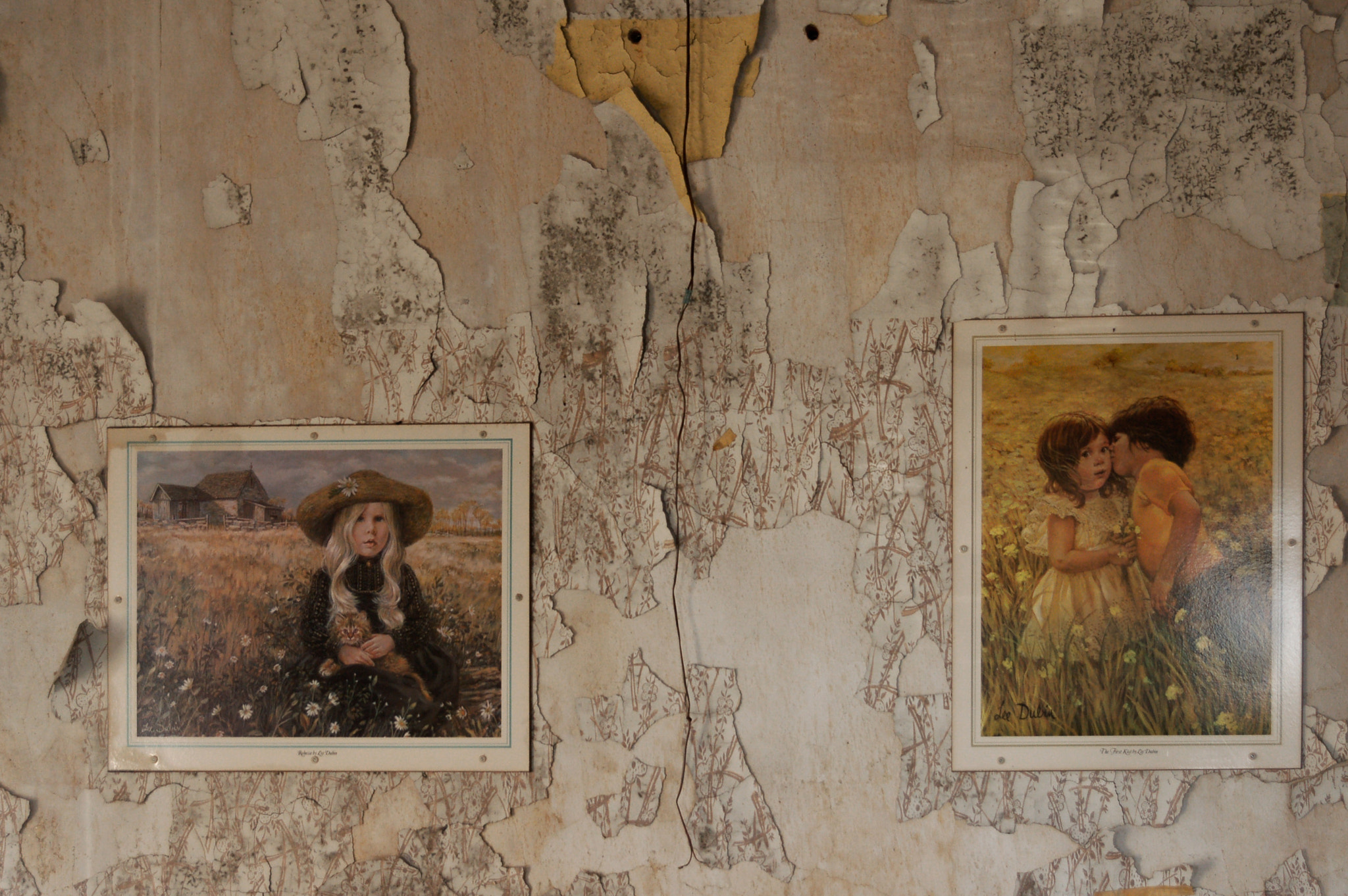 Nikon D50 sample photo. Insane asylum wall art photography