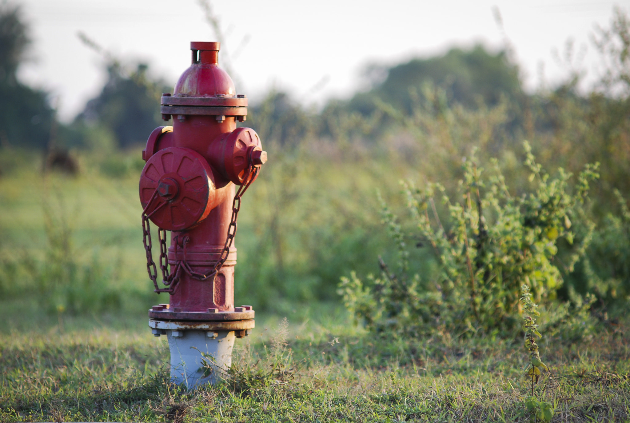 Nikon D80 + AF Zoom-Nikkor 70-210mm f/4 sample photo. Fire hydrants photography