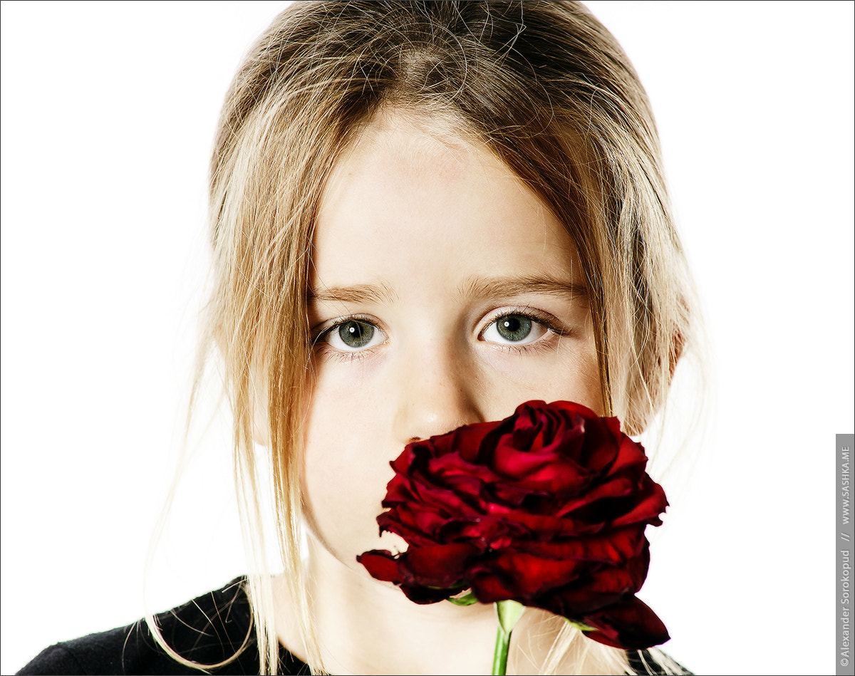 Sony a99 II sample photo. Cute little girl portrait with red rose photography
