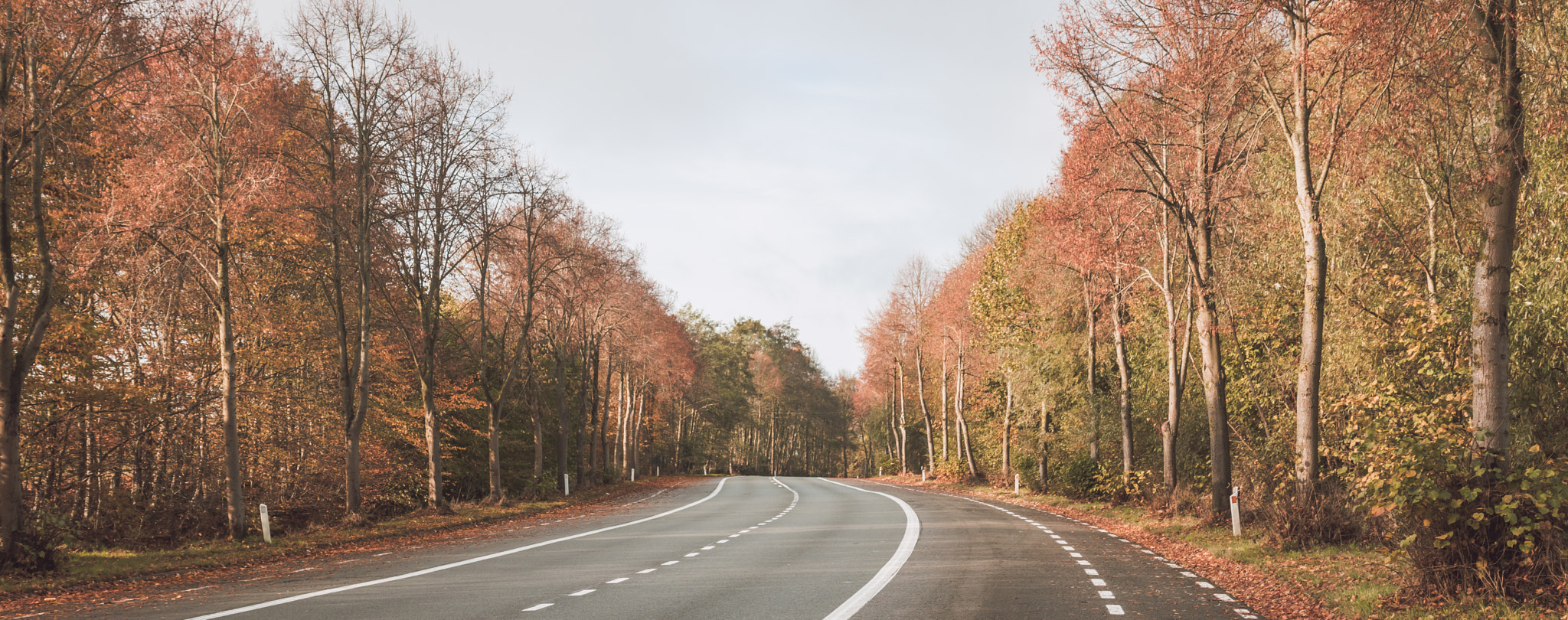 Canon EOS 750D (EOS Rebel T6i / EOS Kiss X8i) sample photo. Belgian road in autumn photography