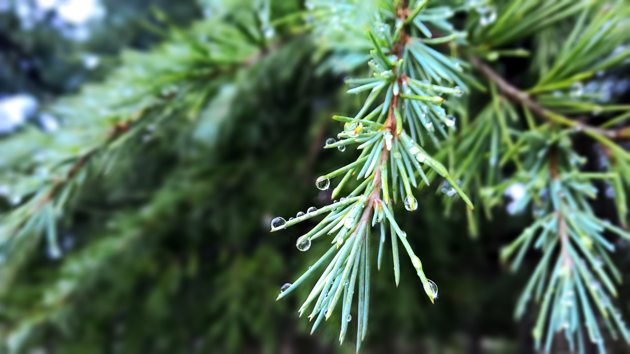 Nokia Lumia 929 sample photo. 41.jpg photography