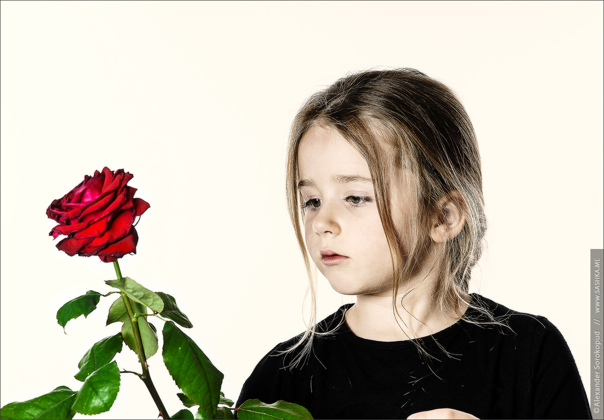 Sony a99 II sample photo. Cute little girl portrait with red rose photography