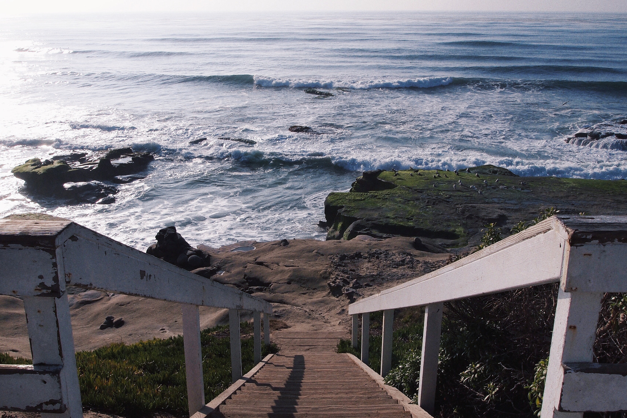 Olympus PEN E-PL1 sample photo. Stairs to the coast photography