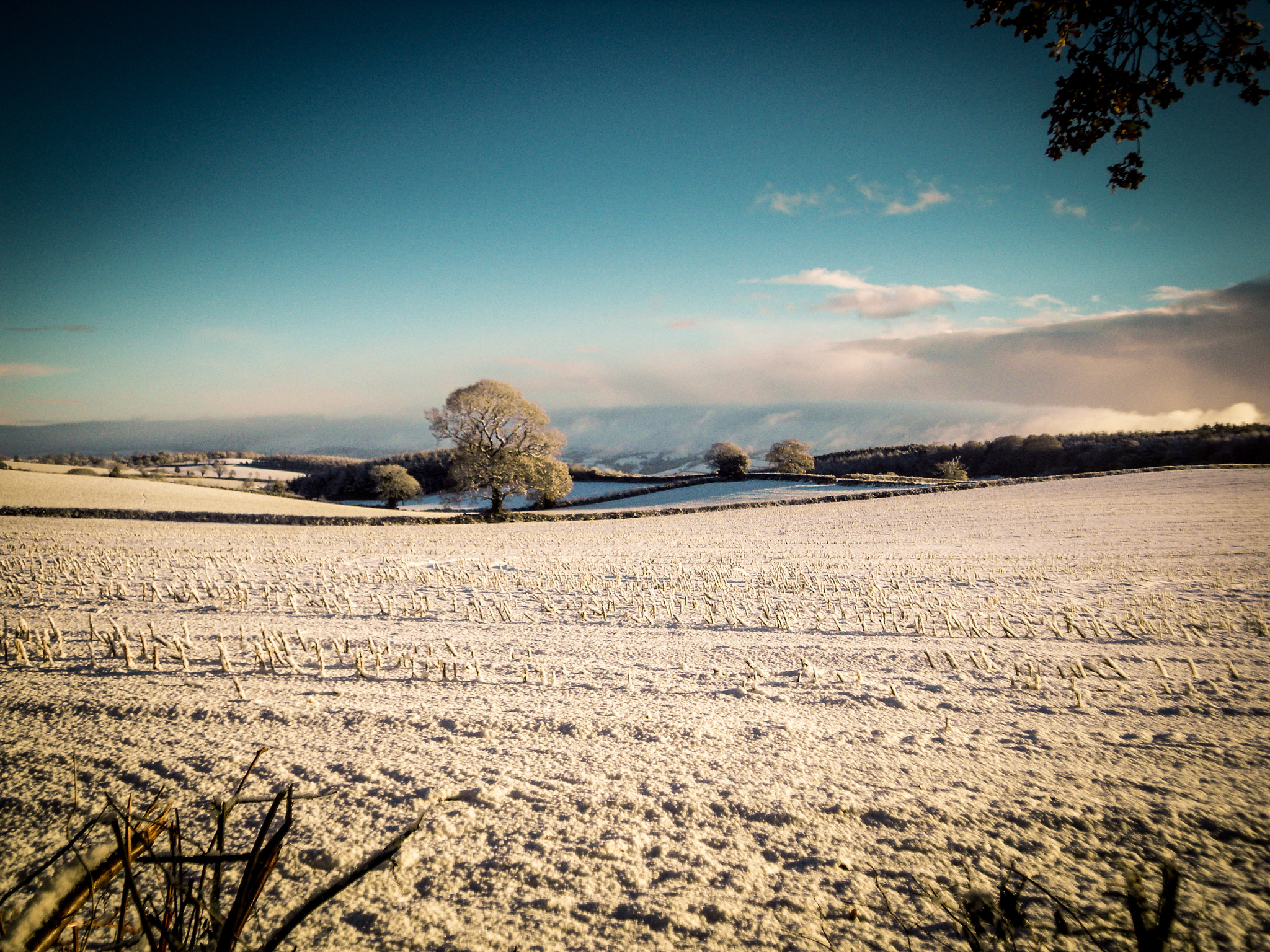 Samsung NV24HD, VLUU NV24HD, LANDIAO NV106HD sample photo. Snow photography