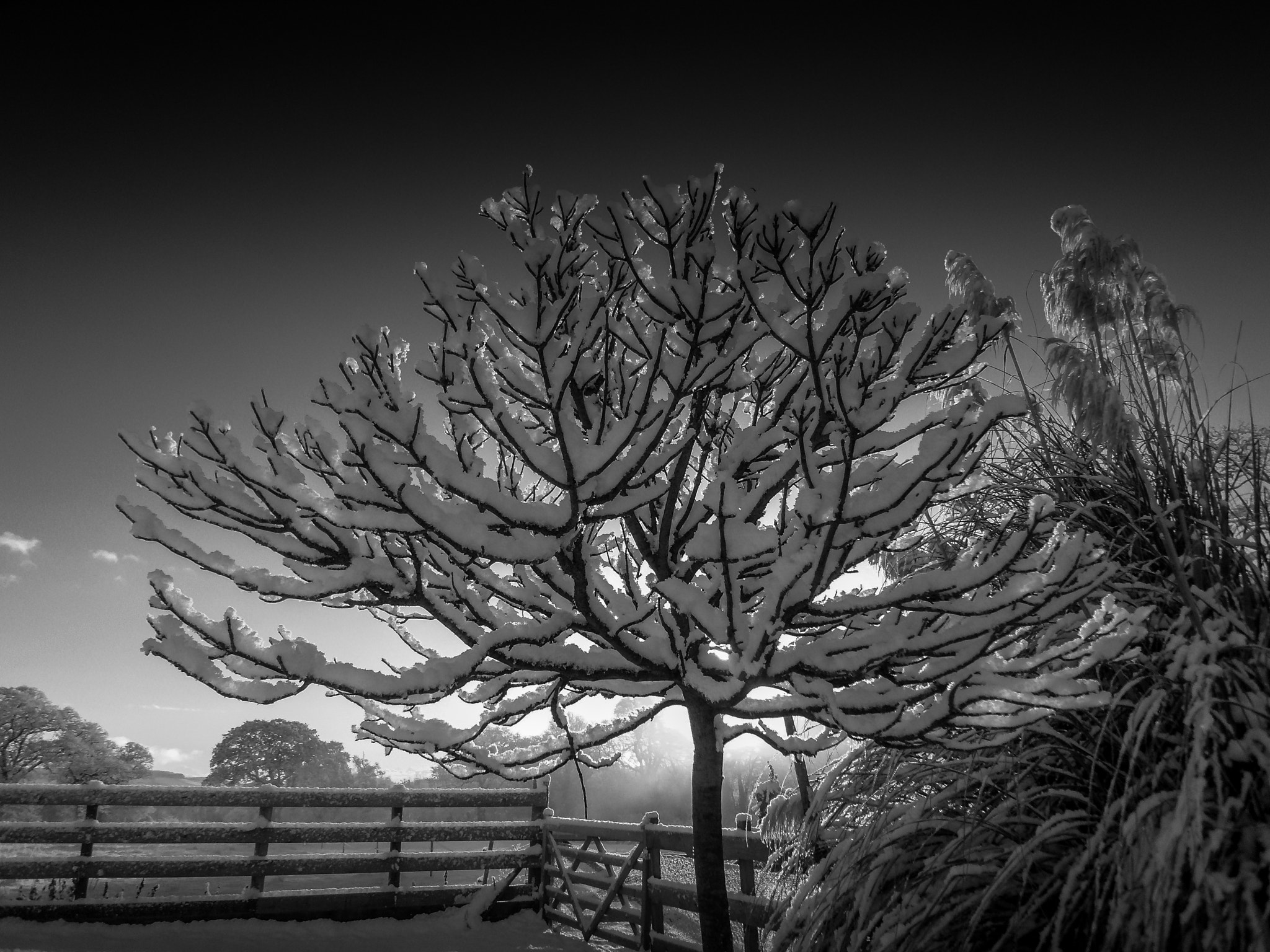 Samsung NV24HD, VLUU NV24HD, LANDIAO NV106HD sample photo. Snow photography