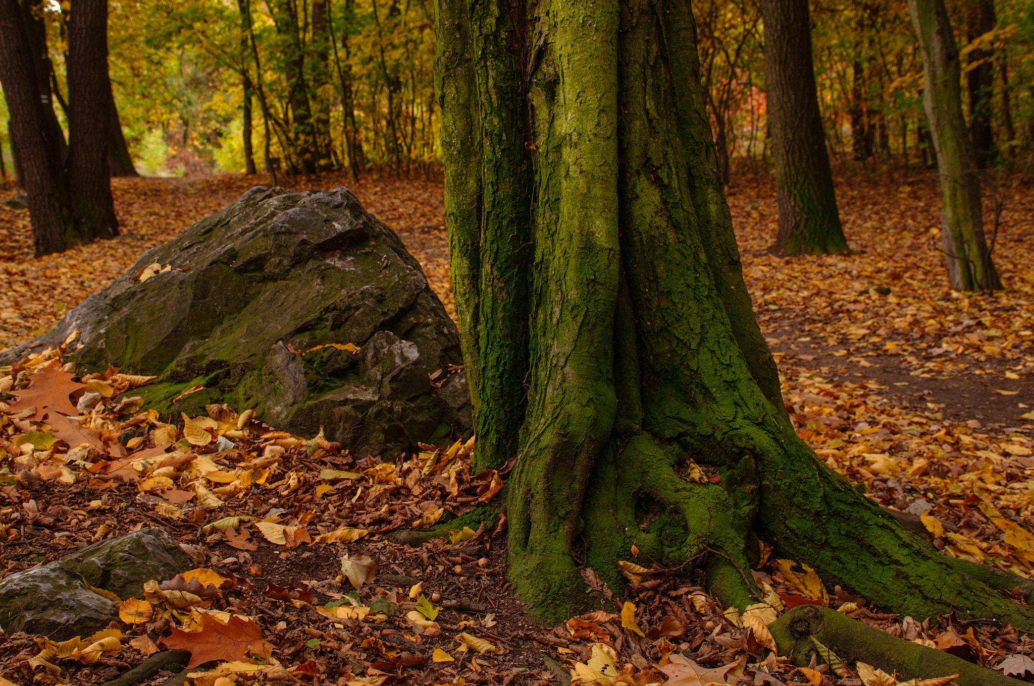 Nikon D5000 sample photo. Stone photography