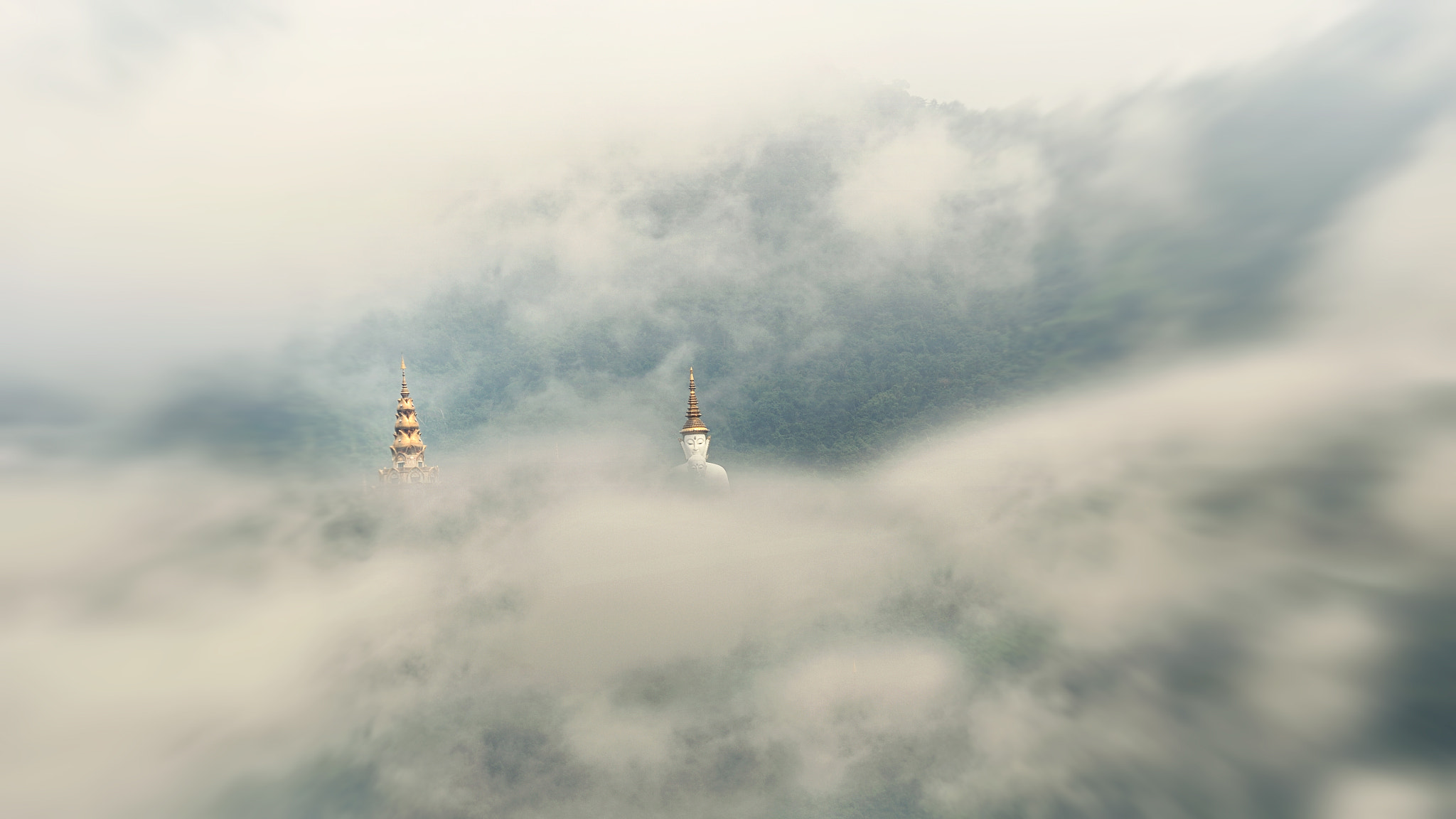 Nikon Df sample photo. Buddha and fog photography