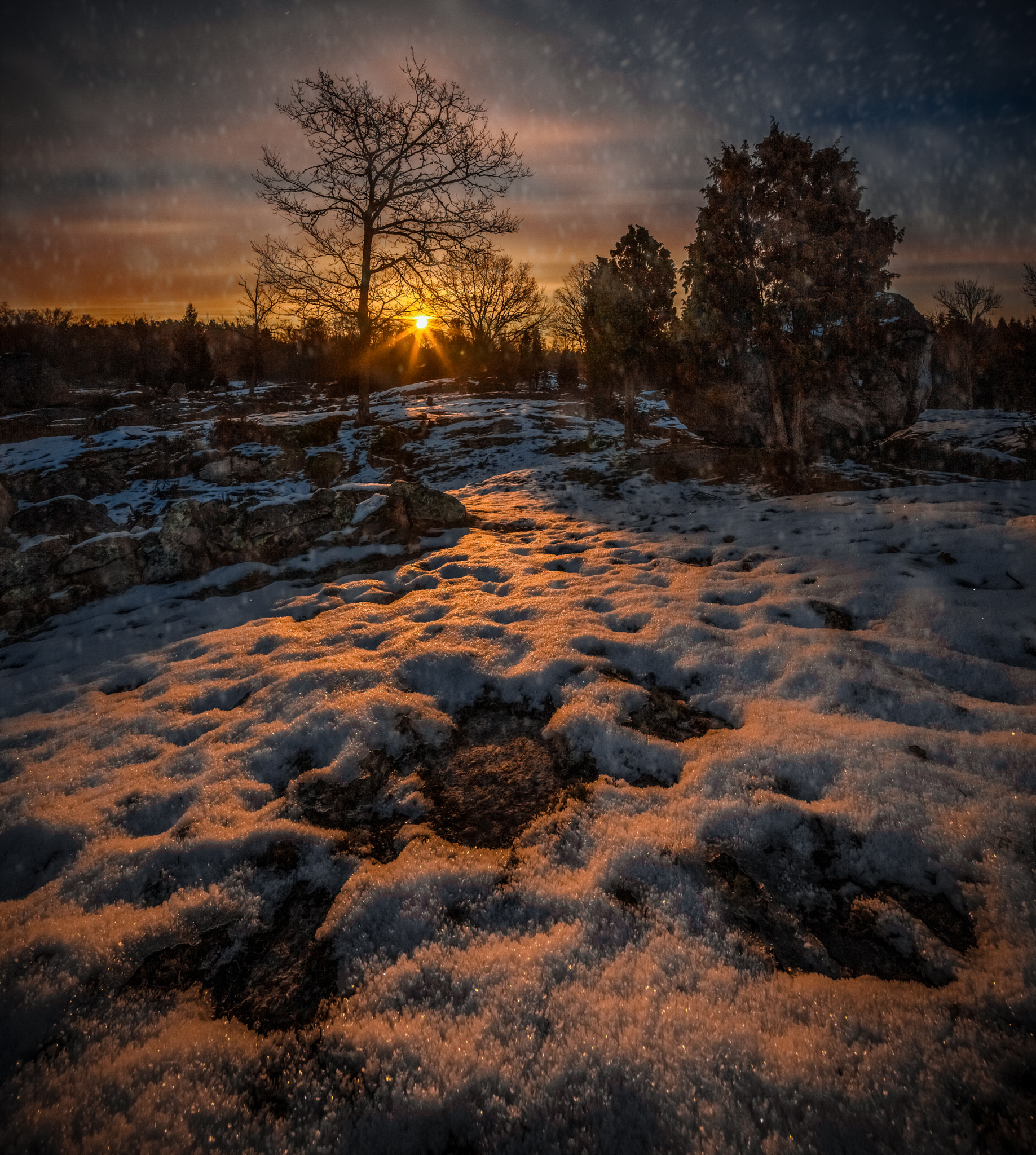 Canon TS-E 17mm F4L Tilt-Shift sample photo. Edestad photography