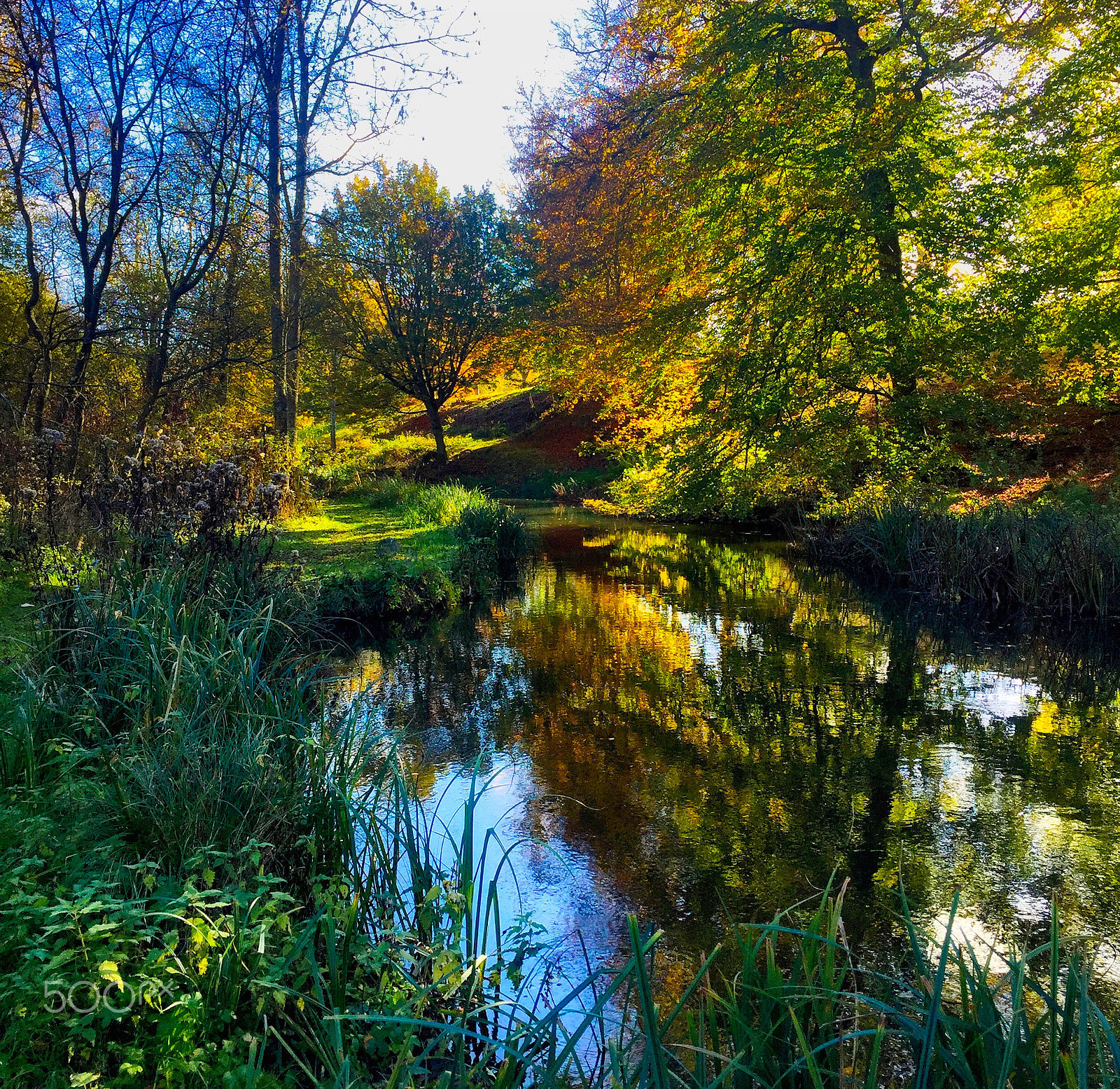 Apple iPhone + iPhone 6 back camera 4.15mm f/2.2 sample photo. Colours on the river photography