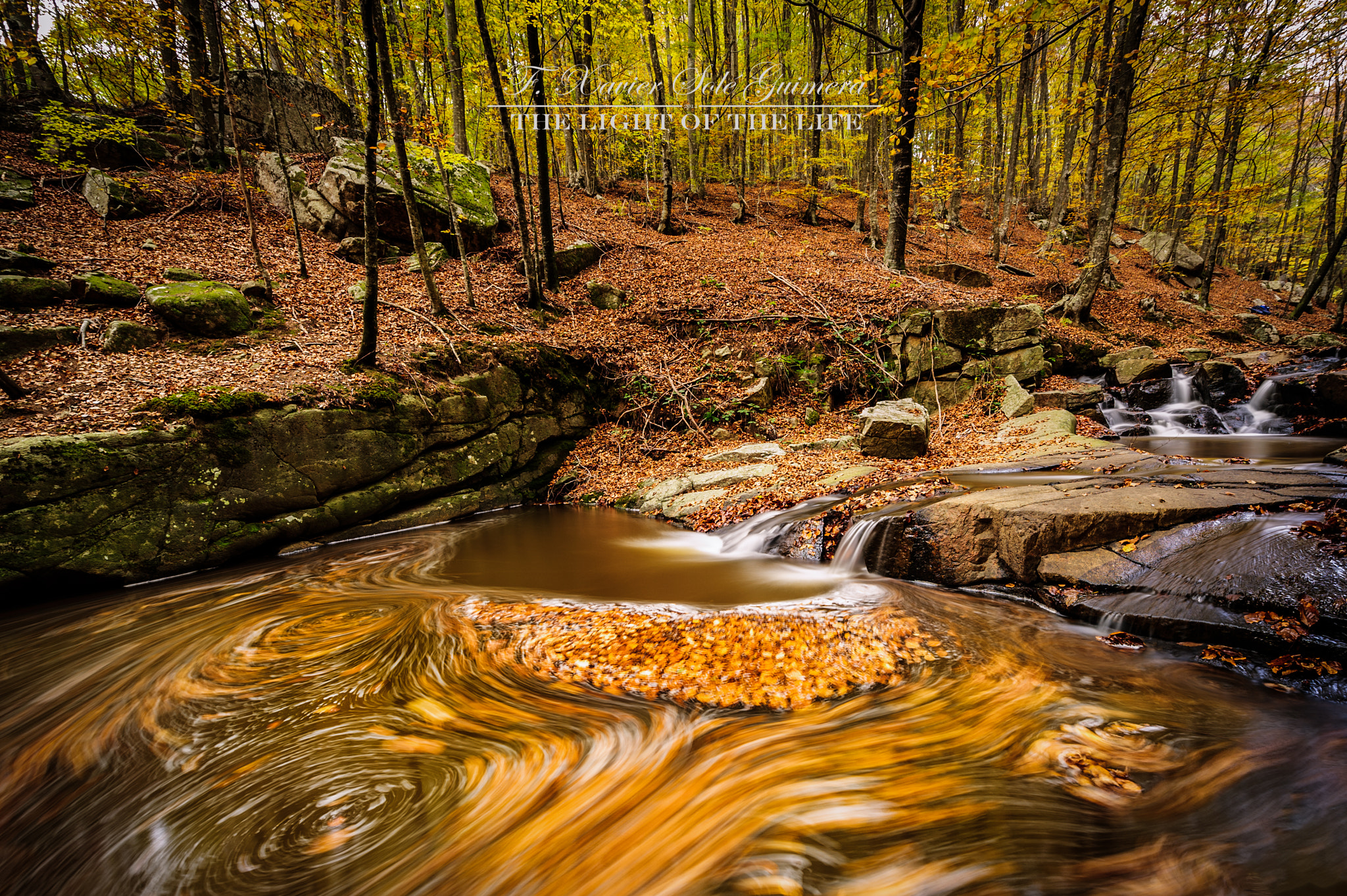Nikon D3S sample photo. Autumn 4 photography
