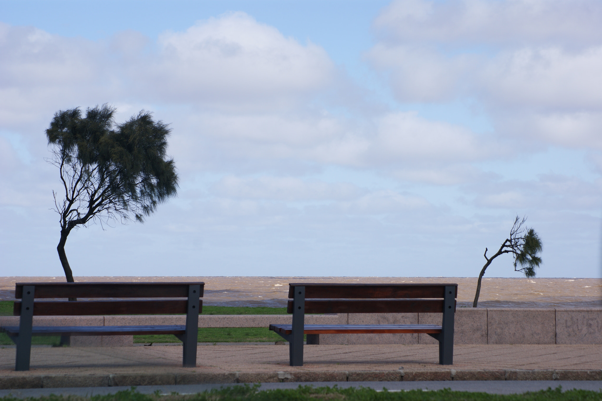 Sony Alpha DSLR-A390 + Sony DT 55-200mm F4-5.6 SAM sample photo. Tired, but don't want to sit photography