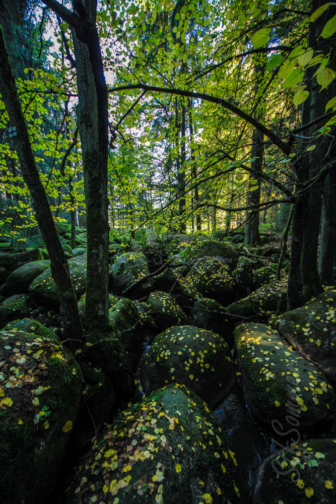 Canon EOS 60D + Sigma 8-16mm F4.5-5.6 DC HSM sample photo. Rock forest in autumn photography