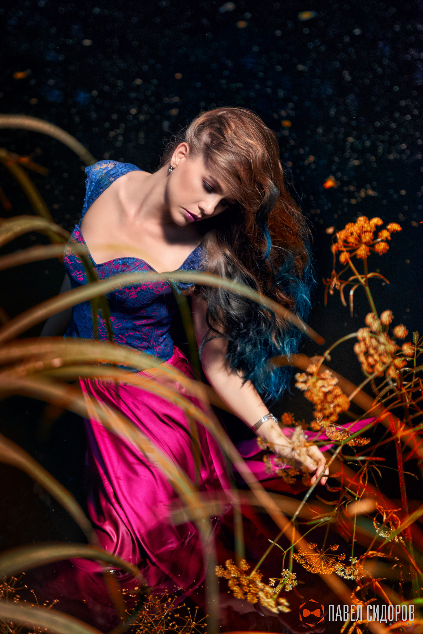 Nikon D800 sample photo. Golden cage photography