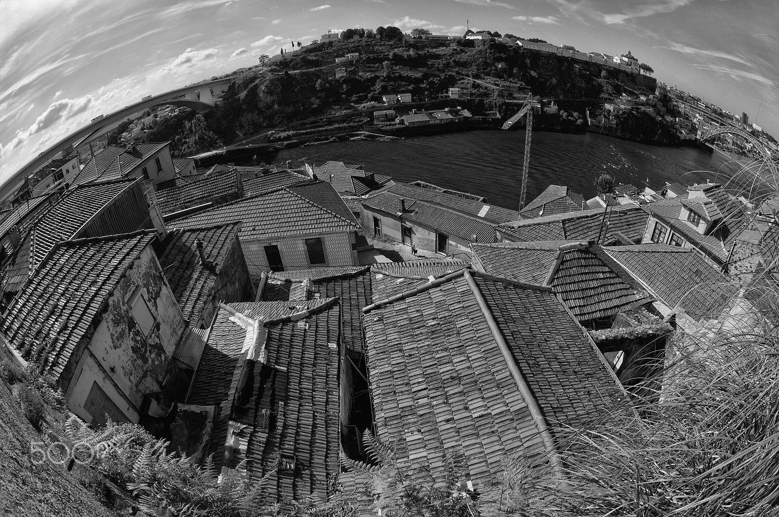Nikon AF DX Fisheye-Nikkor 10.5mm F2.8G ED sample photo. Around photography