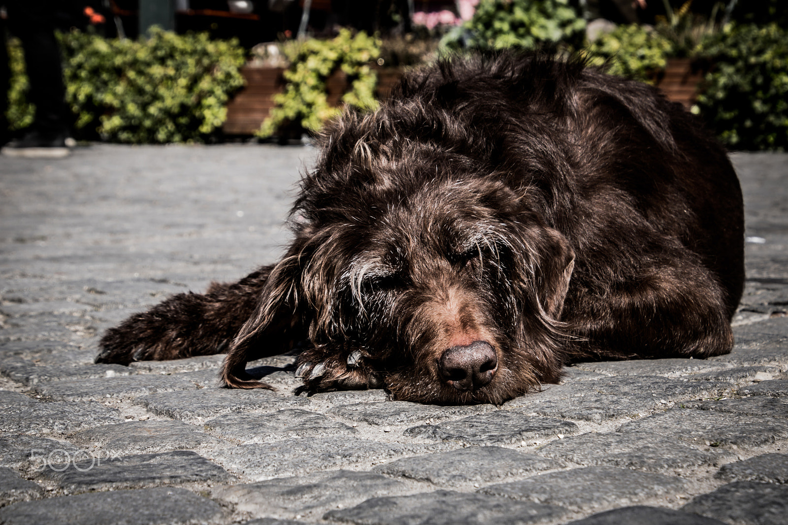 Canon EOS 750D (EOS Rebel T6i / EOS Kiss X8i) sample photo. Munich viktualienmarkt photography