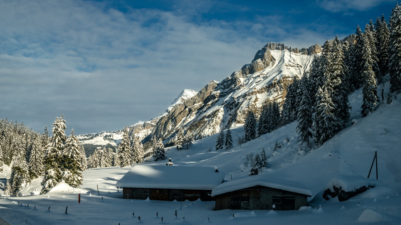 AF Zoom-Nikkor 35-105mm f/3.5-4.5 sample photo. Winter photography