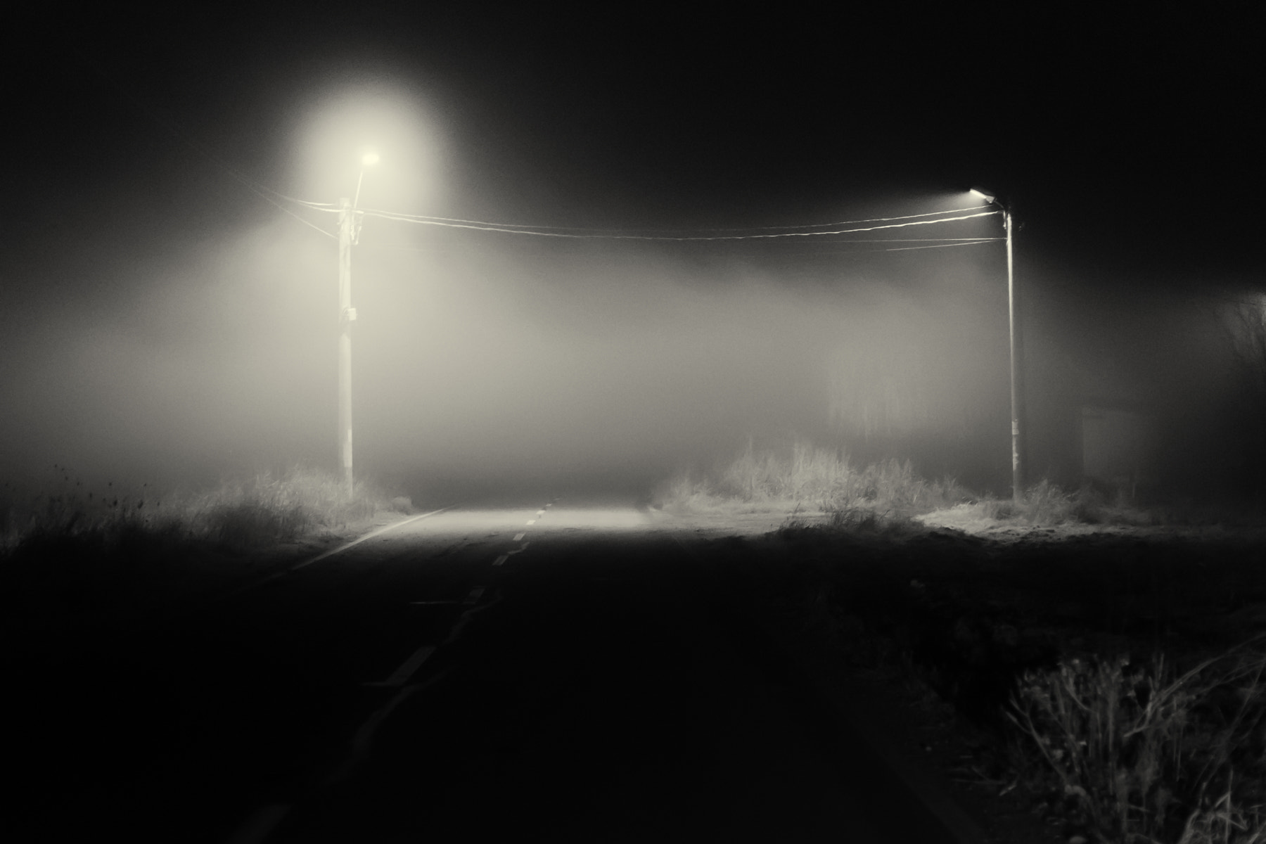 Sony a99 II + Sony 50mm F1.4 sample photo. Enter the mist photography