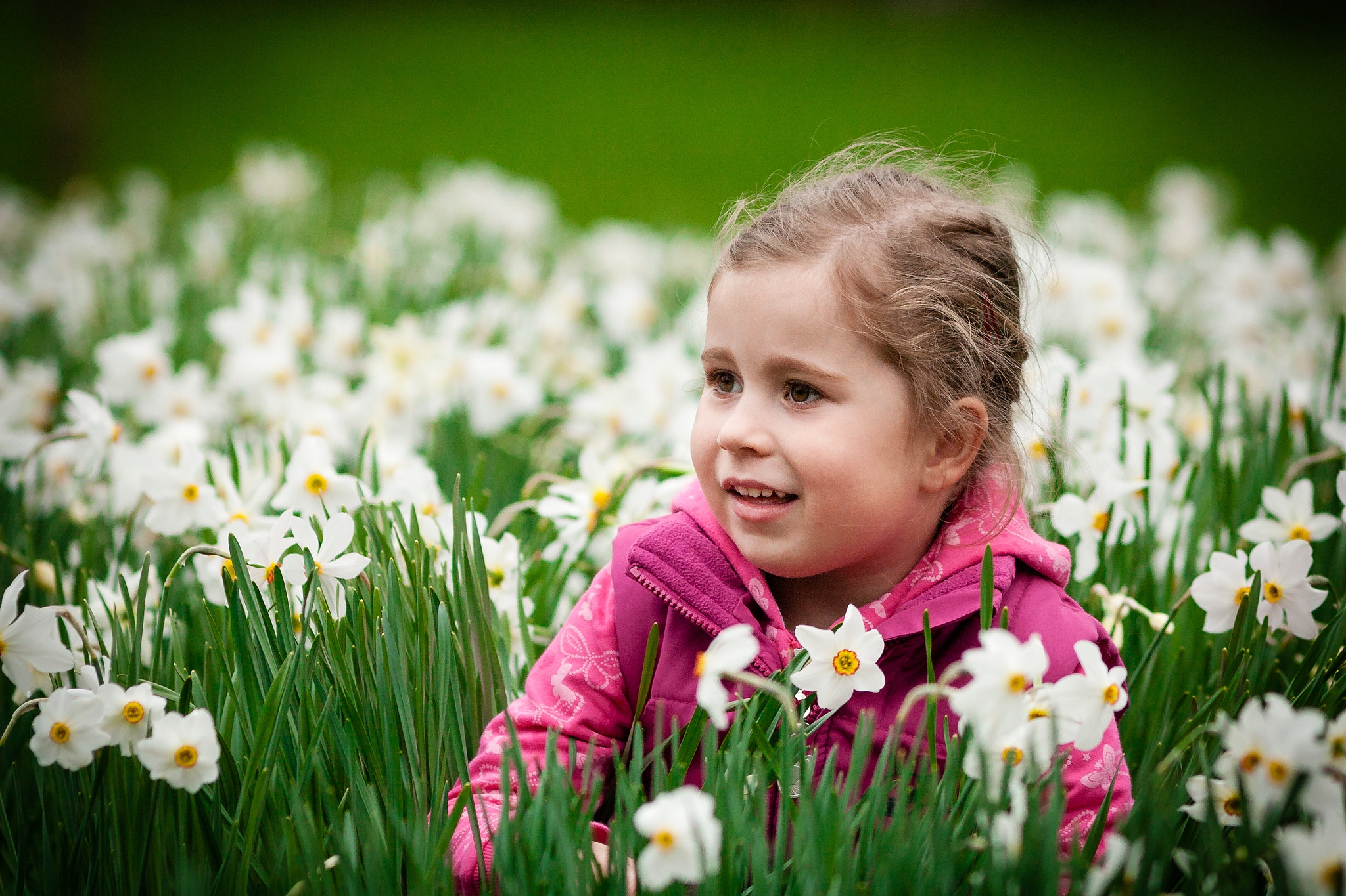 Canon EF 200mm F2.8L II USM sample photo. Tarja photography