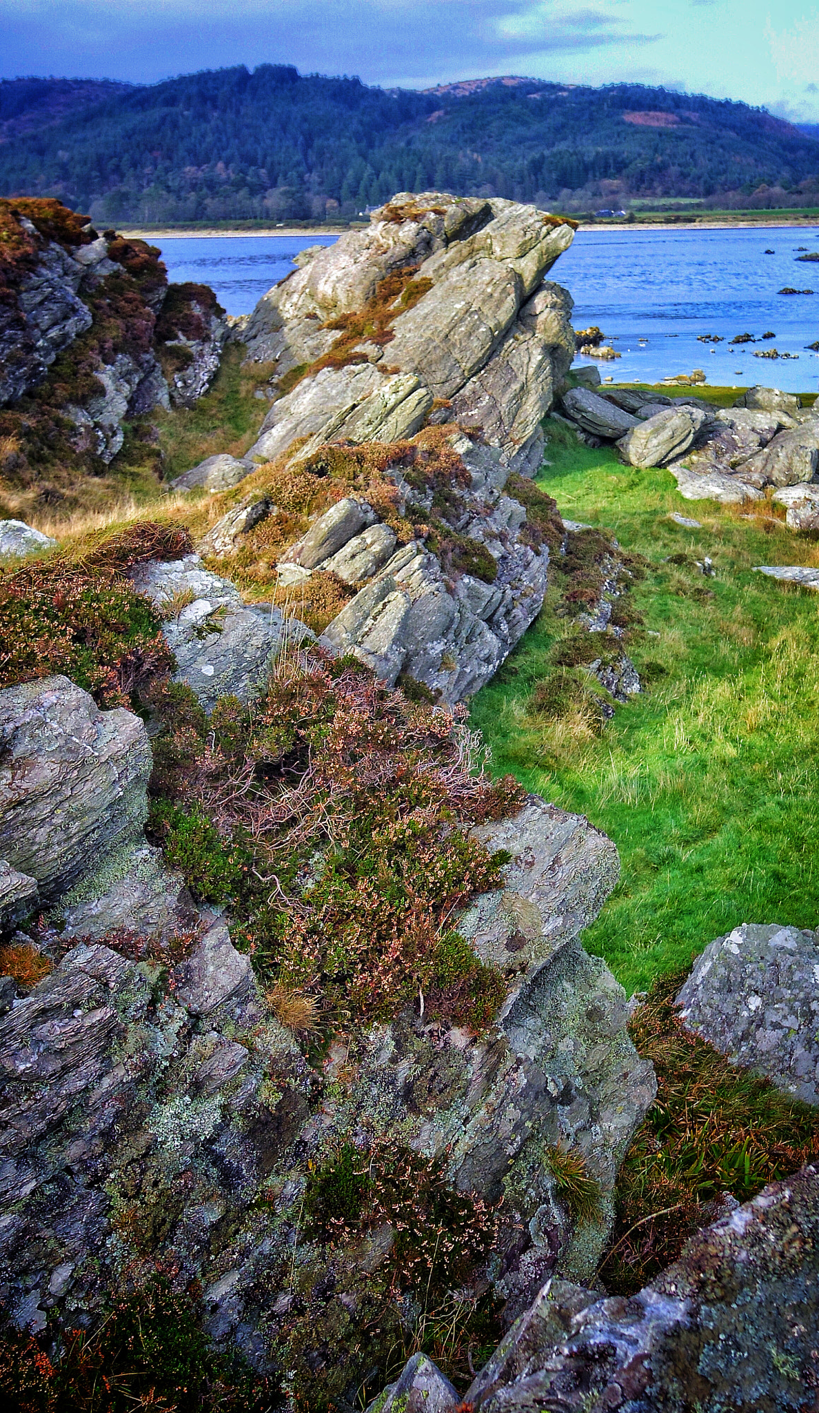 Pentax Q + Pentax 01 Standard Prime sample photo. Teeth in the landscape. biotite schist outcrop, kintyre, scotland photography