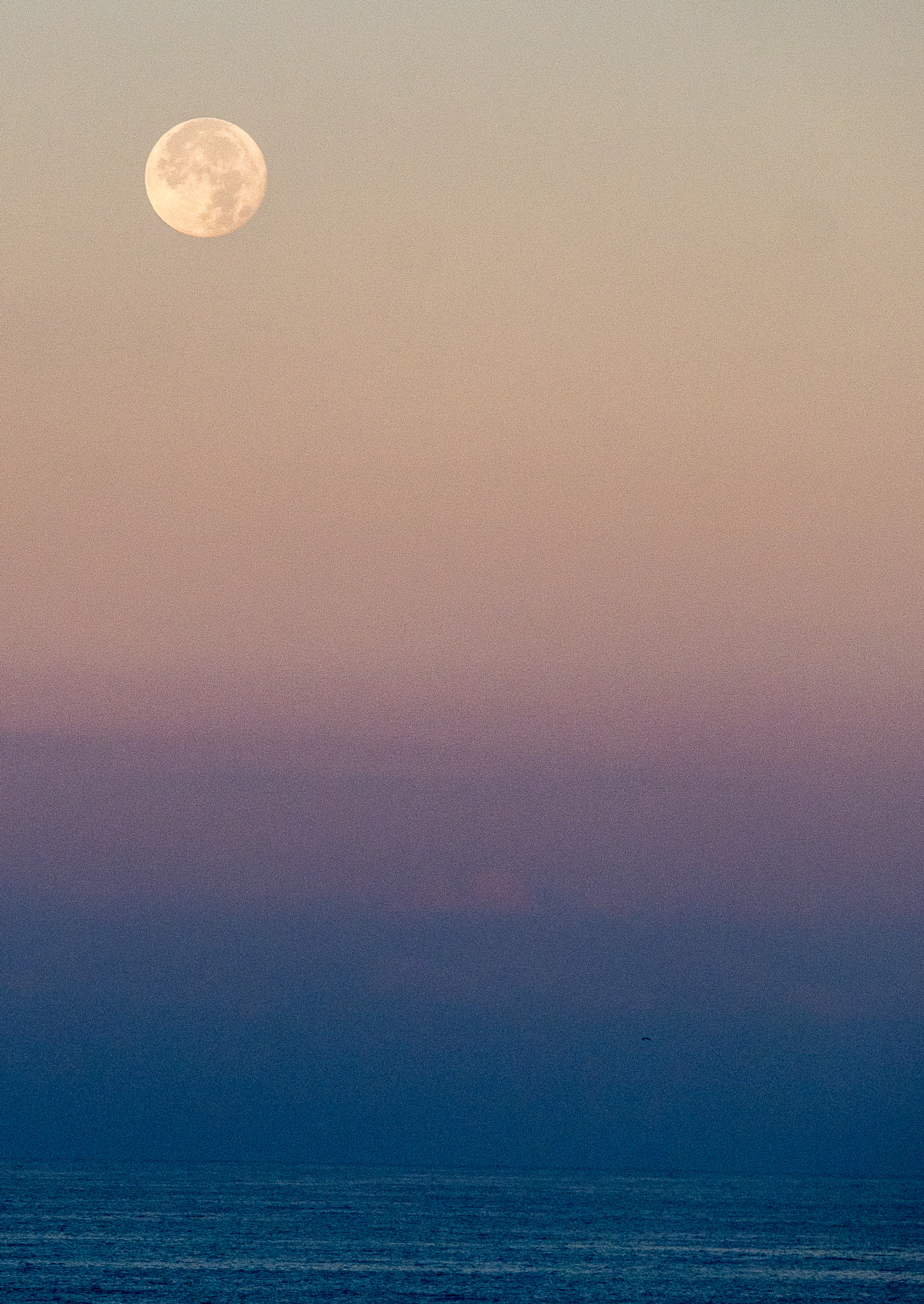 Panasonic Lumix DMC-GX7 sample photo. Fullmoon photography