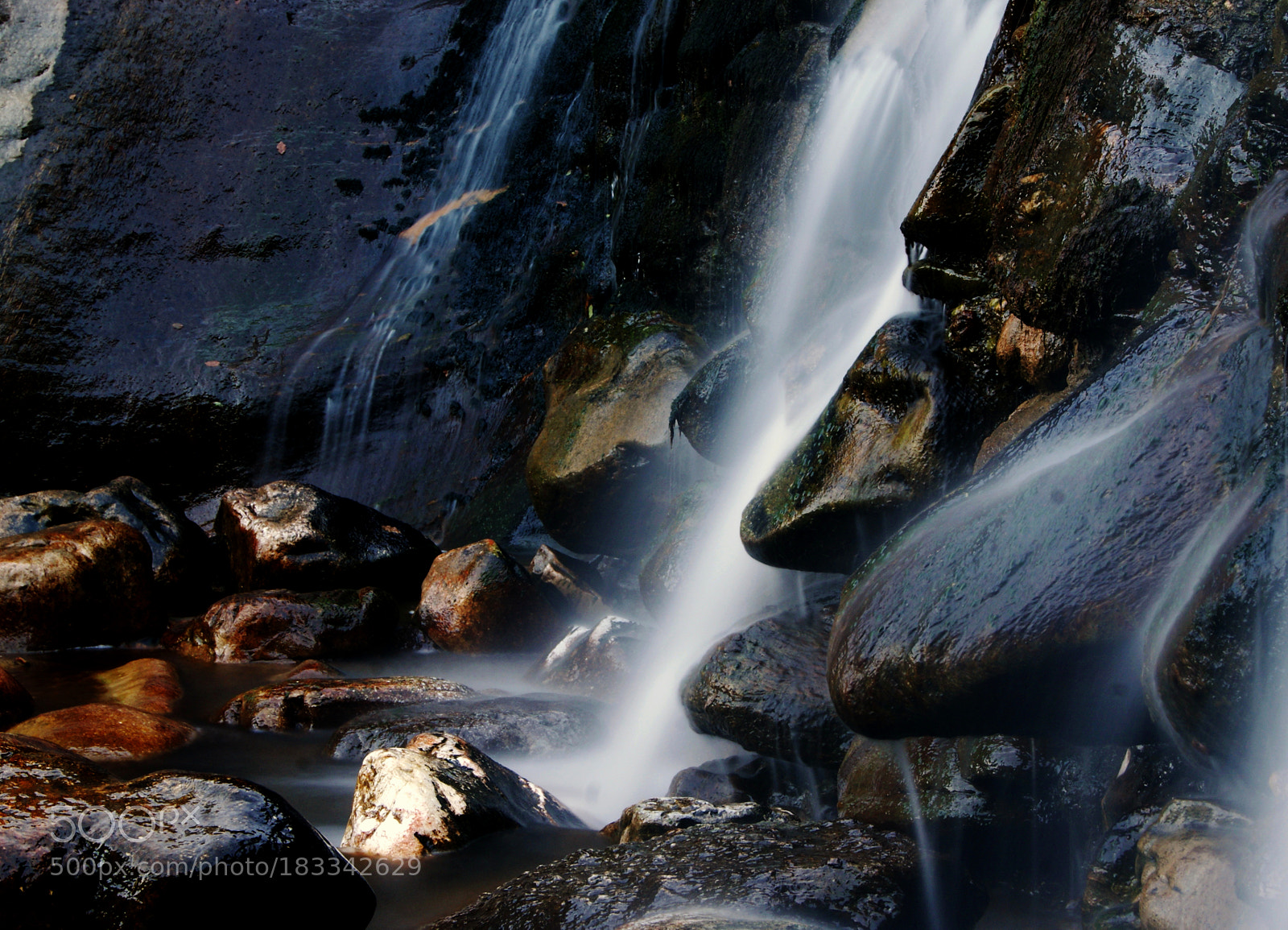 Sony Alpha DSLR-A230 sample photo. Untitled photography