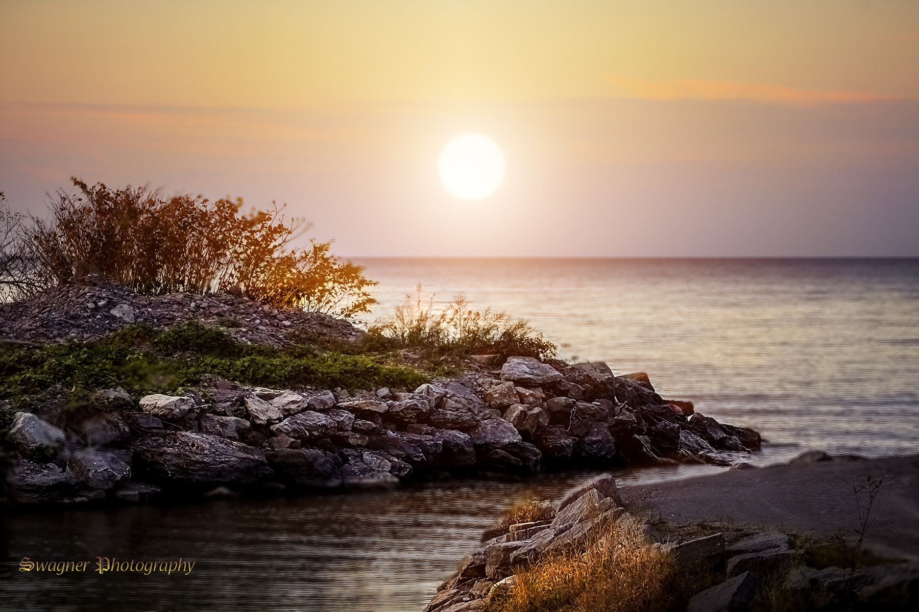150-600mm F5-6.3 DG OS HSM | Contemporary 015 sample photo. Golden peace photography
