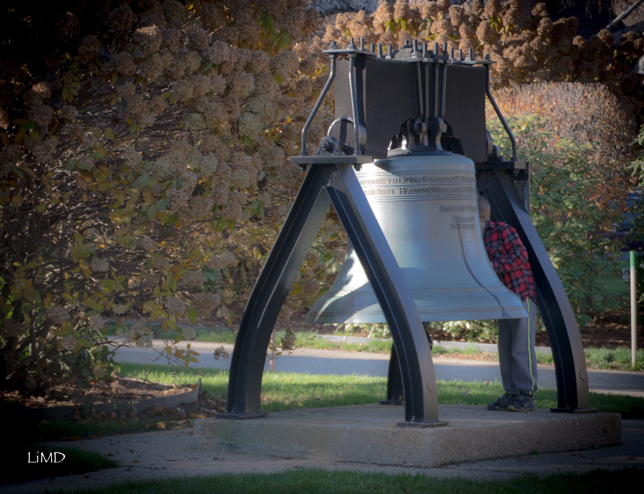 Nikon D600 sample photo. Peekaboo photography