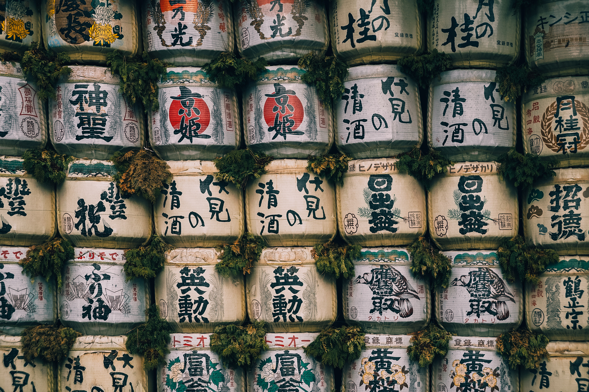 Sony Alpha a5000 (ILCE 5000) + Sony E 18-55mm F3.5-5.6 OSS sample photo. Sake photography