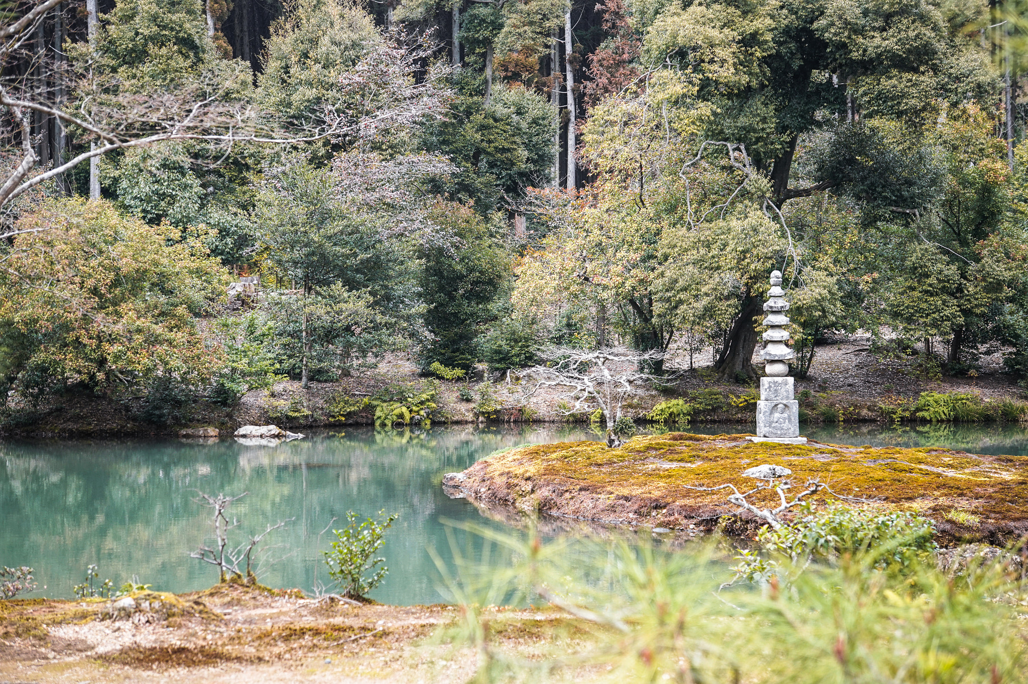 Sony Alpha a5000 (ILCE 5000) + Sony E 18-55mm F3.5-5.6 OSS sample photo. Jardin japonais photography