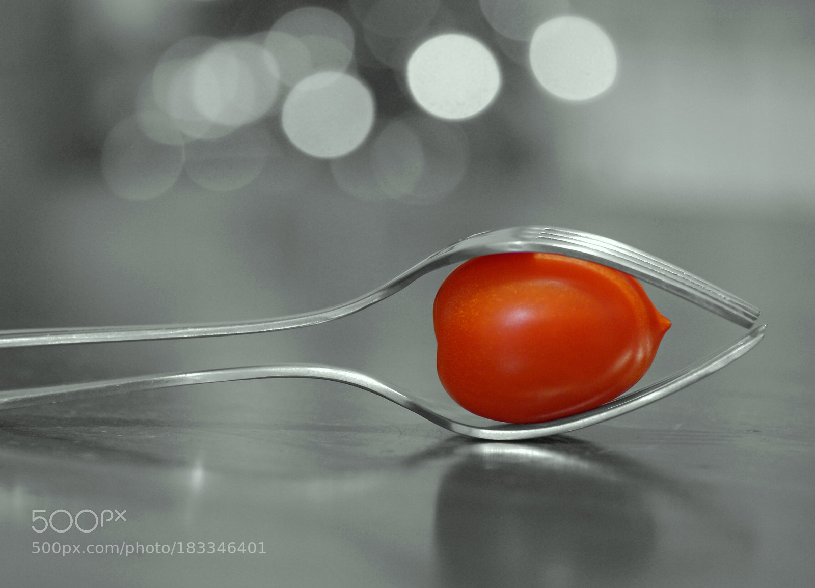 Sony Alpha DSLR-A230 sample photo. Silver fork and red photography