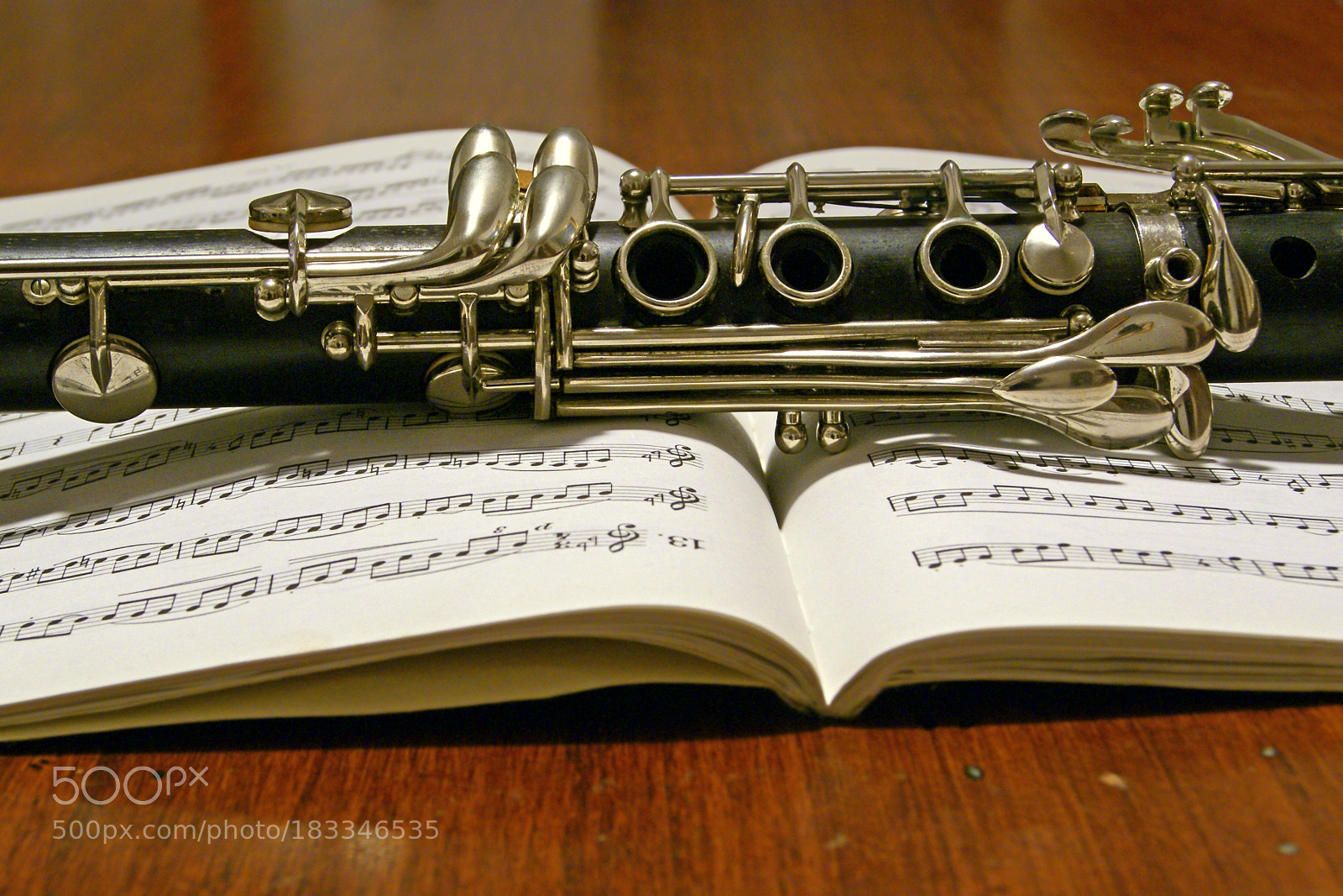Sony Alpha DSLR-A230 sample photo. Clarinet photography
