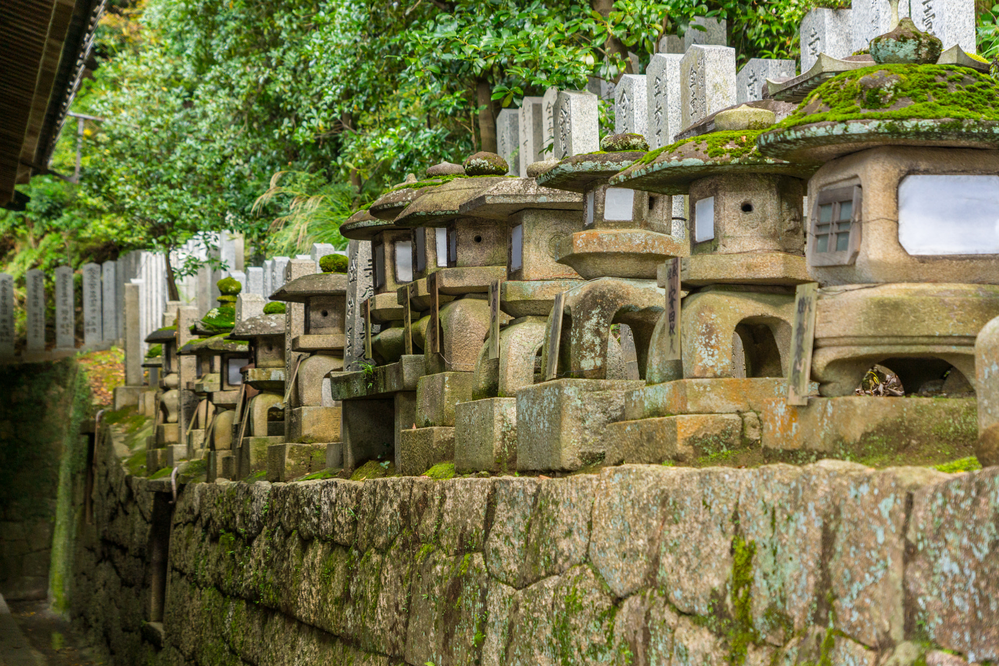 Sony SLT-A65 (SLT-A65V) + Sony DT 16-50mm F2.8 SSM sample photo. Todaiji temple, nara, japan photography